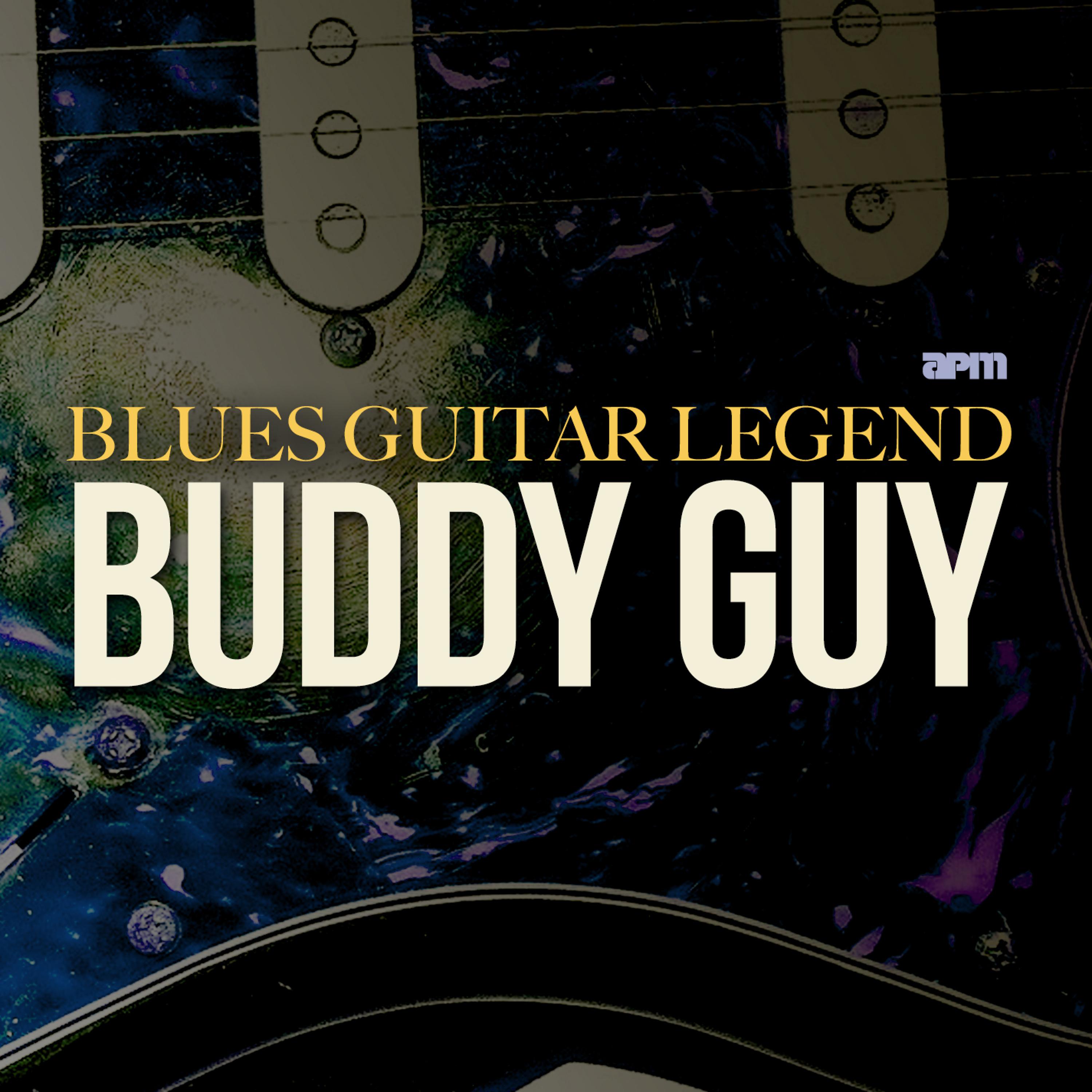 Постер альбома Blues Guitar Legend