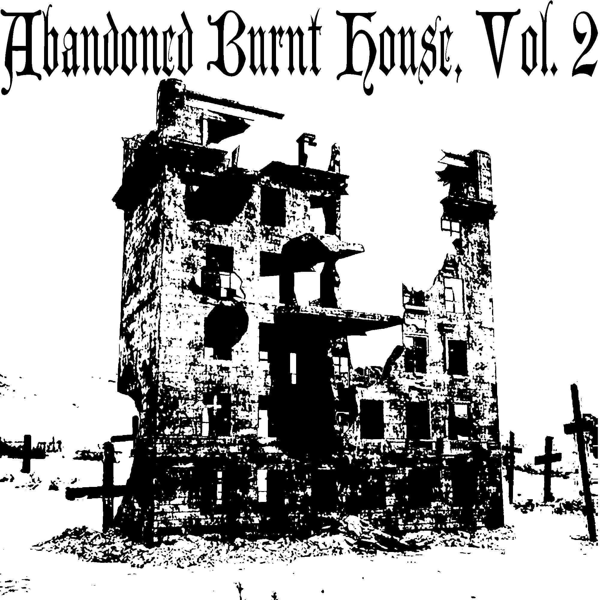 Постер альбома Abandoned Burnt House, Vol. 2
