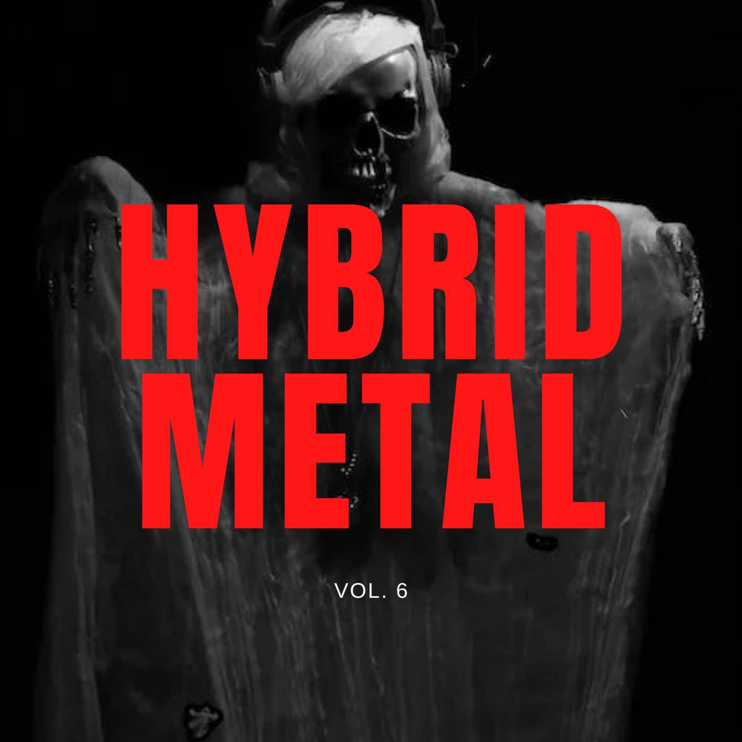 Постер альбома Hybrid Metal, Vol. 06