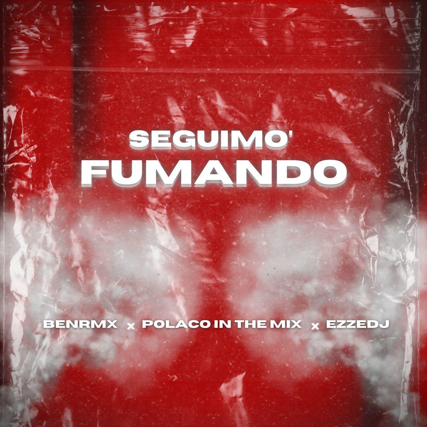 Постер альбома Seguimo Fumando (feat. Polacointhemix, Ezzedj)