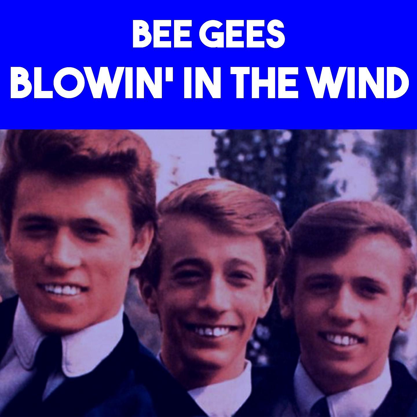 Постер альбома Blowin' In The Wind