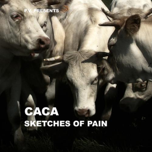 Постер альбома Sketches of Pain