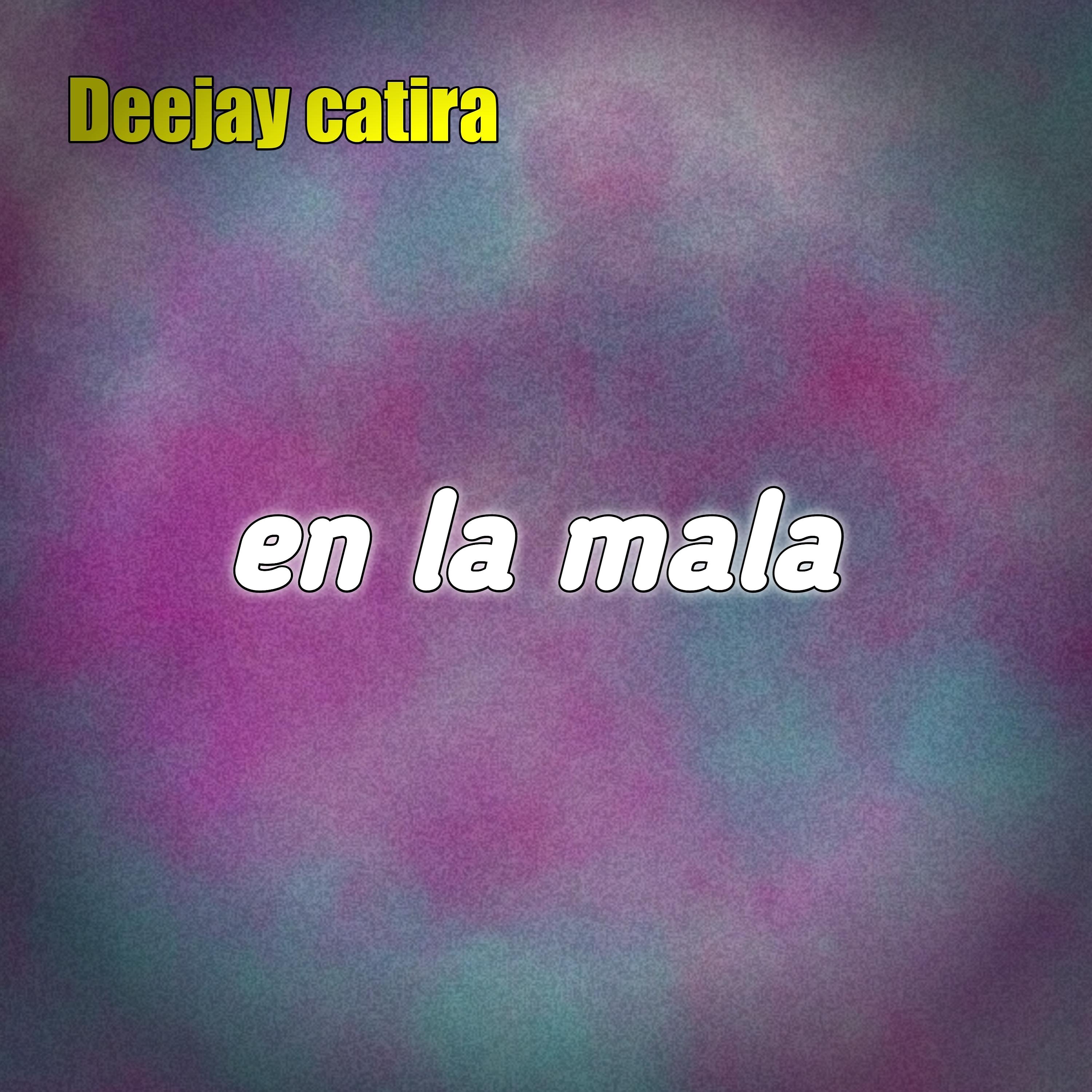 Постер альбома En la Mala