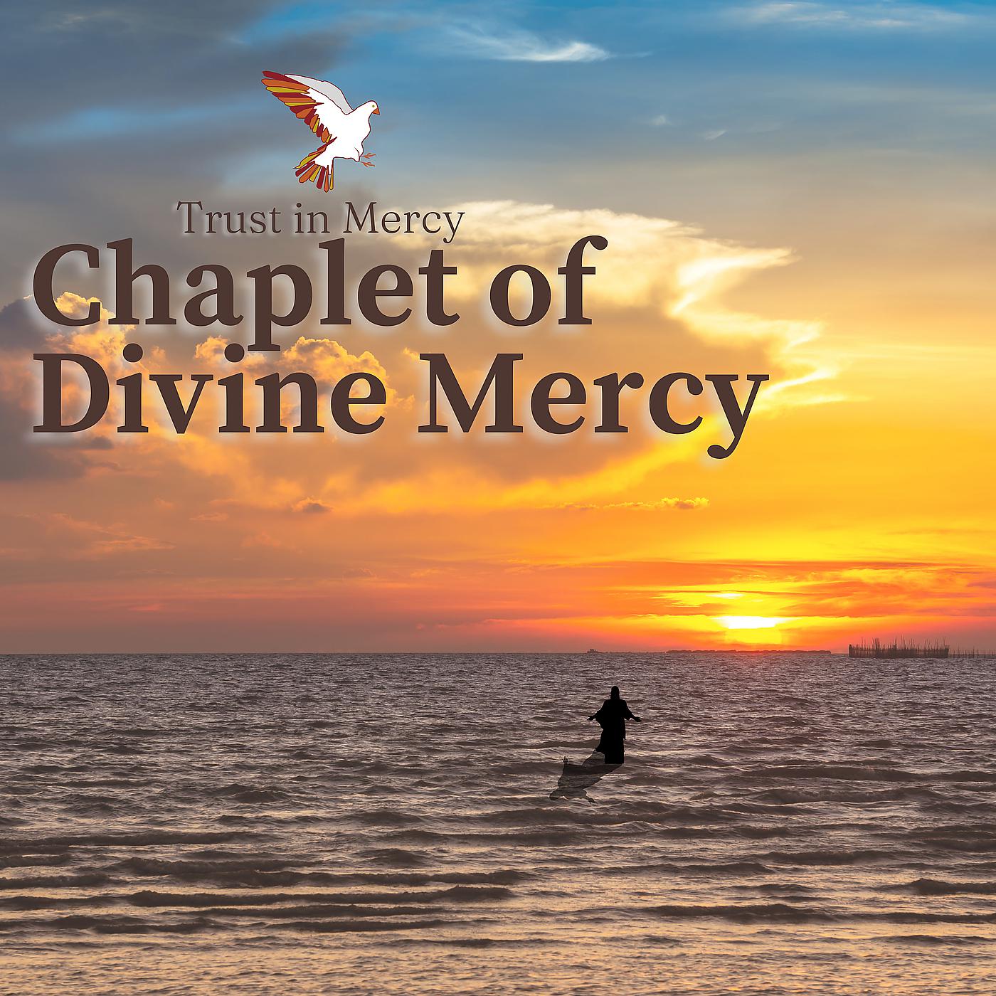 Постер альбома Chaplet of Divine Mercy