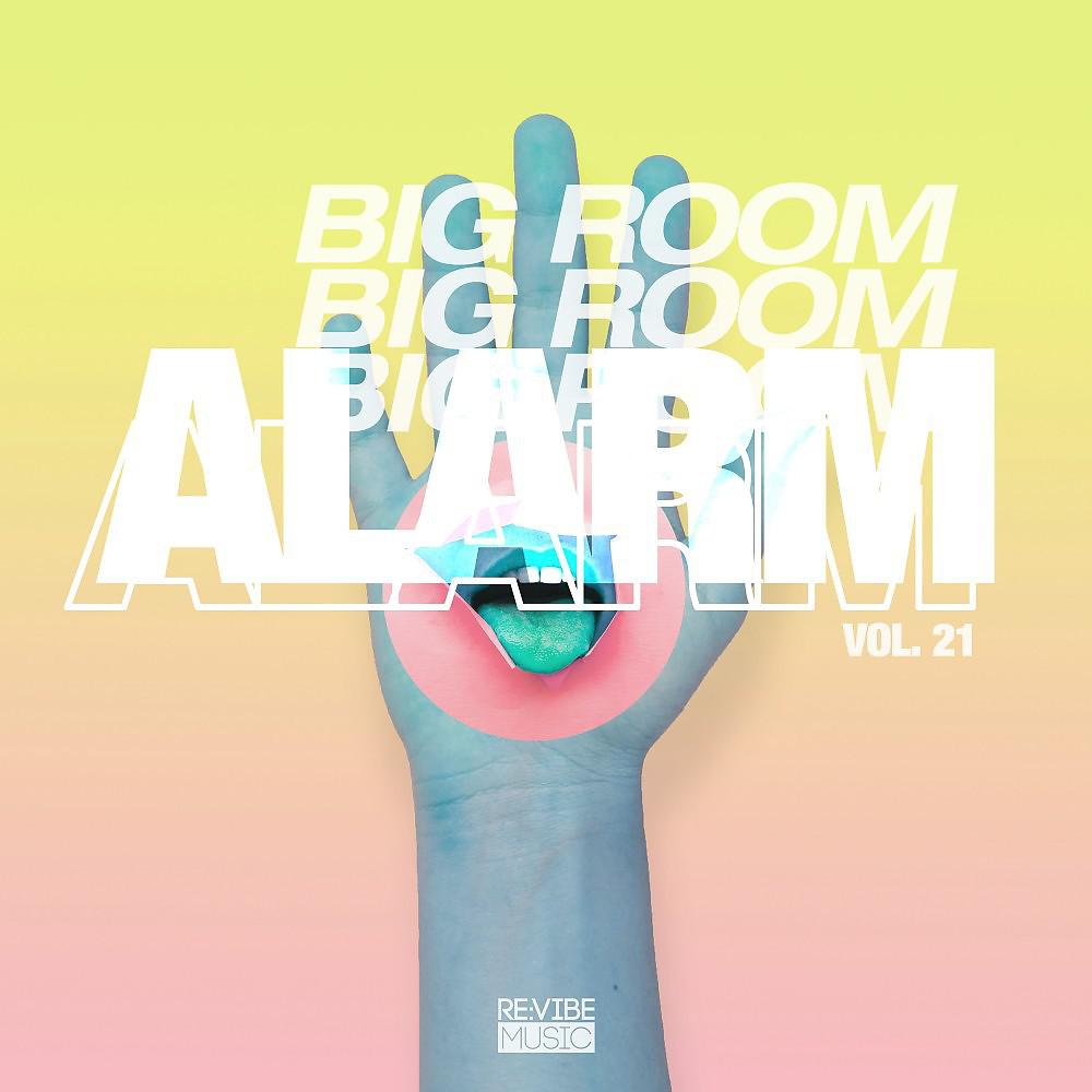 Постер альбома Big Room Alarm, Vol. 21