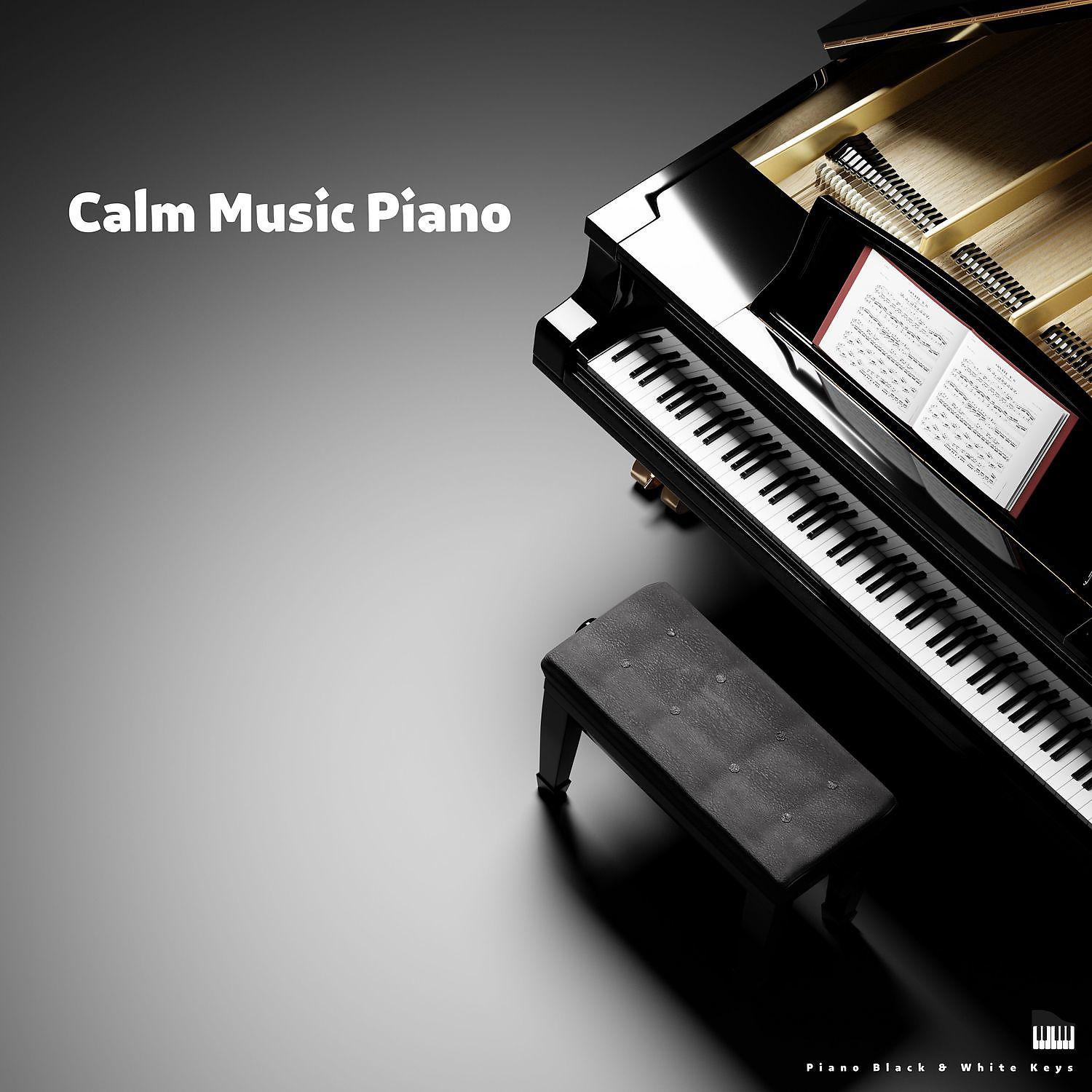 Постер альбома Calm Music Piano - Soothing, Relaxing, Soft Background Music for Sleep