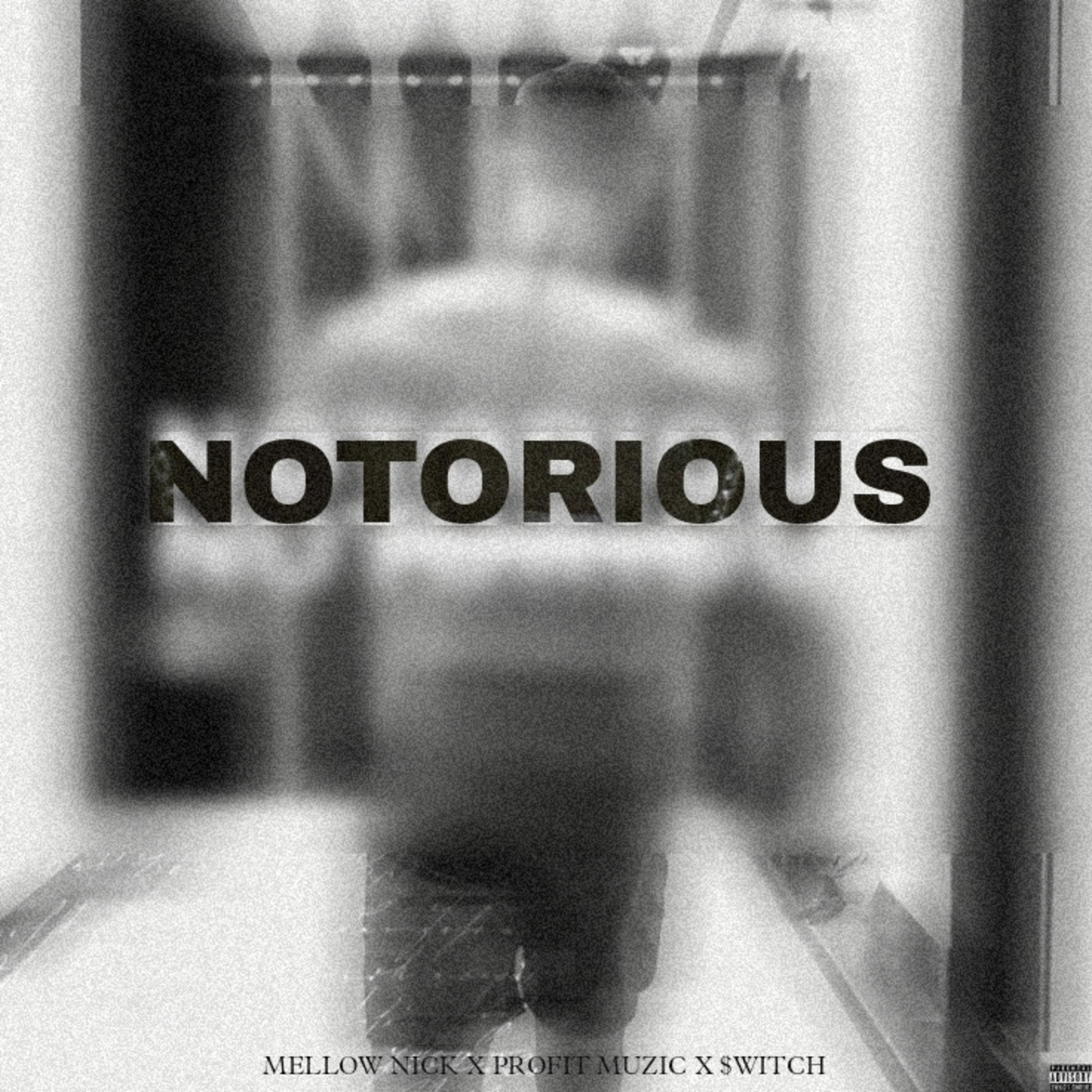 Постер альбома Notorious