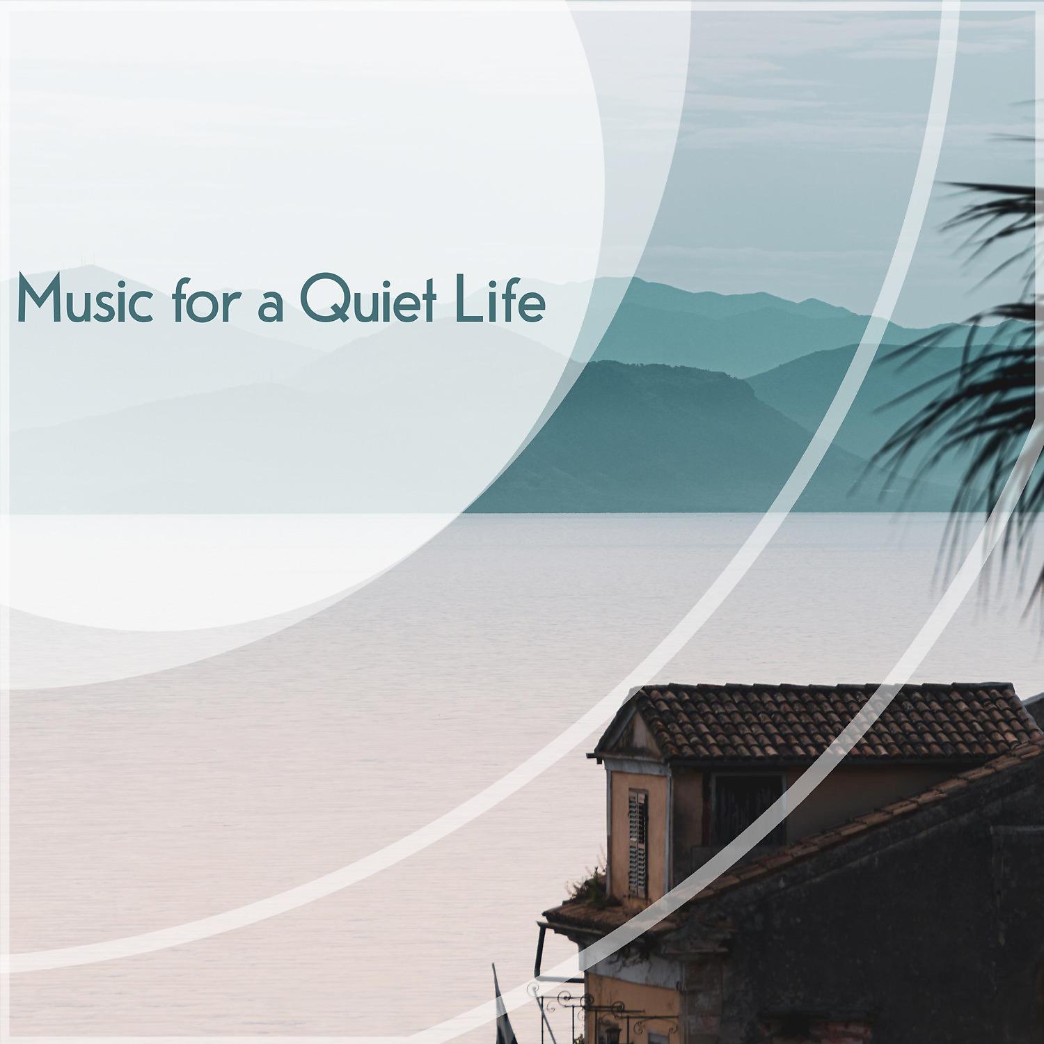 Постер альбома Music for a Quiet Life