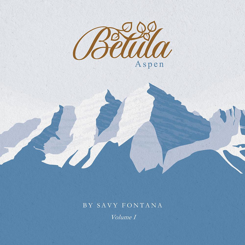 Постер альбома Betula Aspen Vol.1