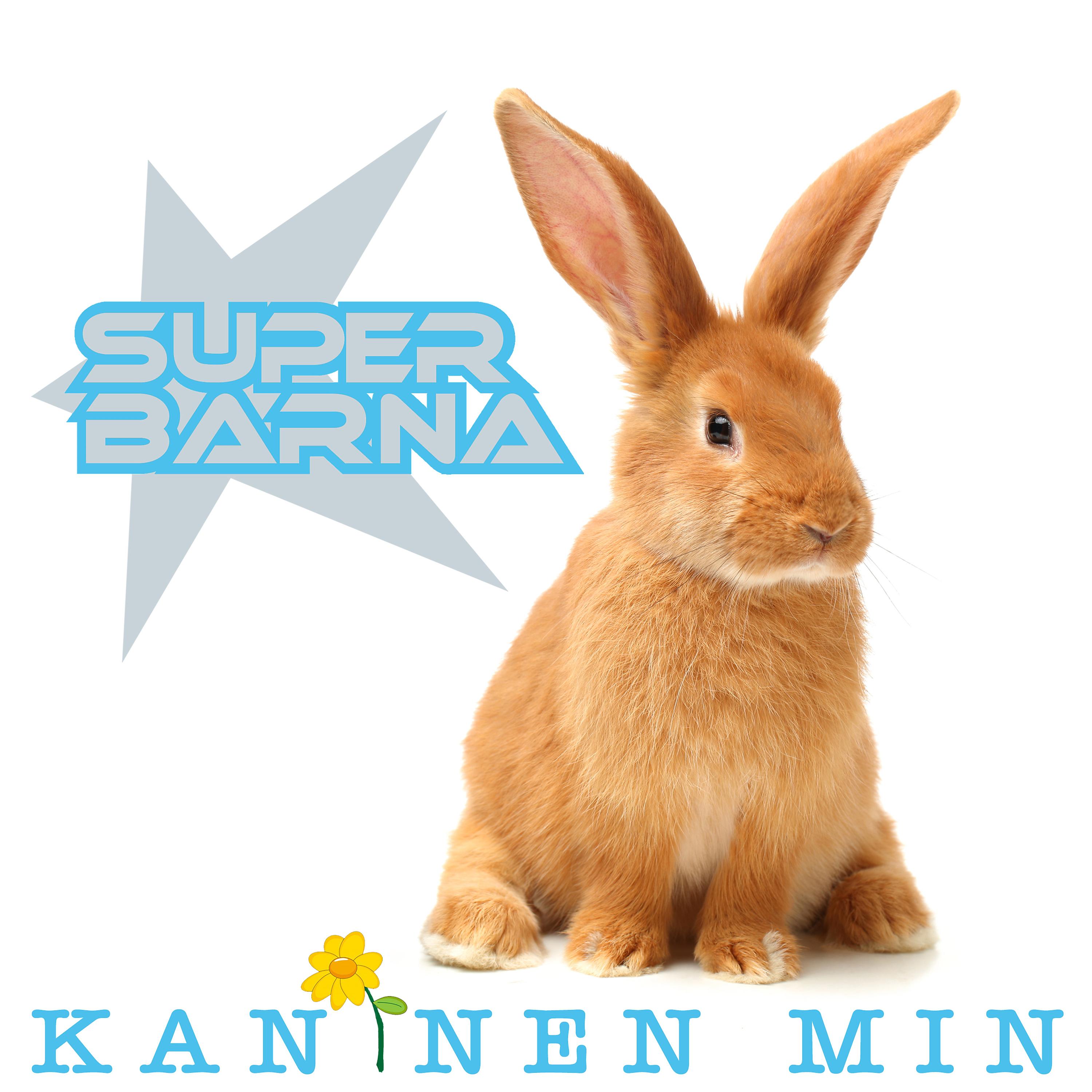 Постер альбома Kaninen Min