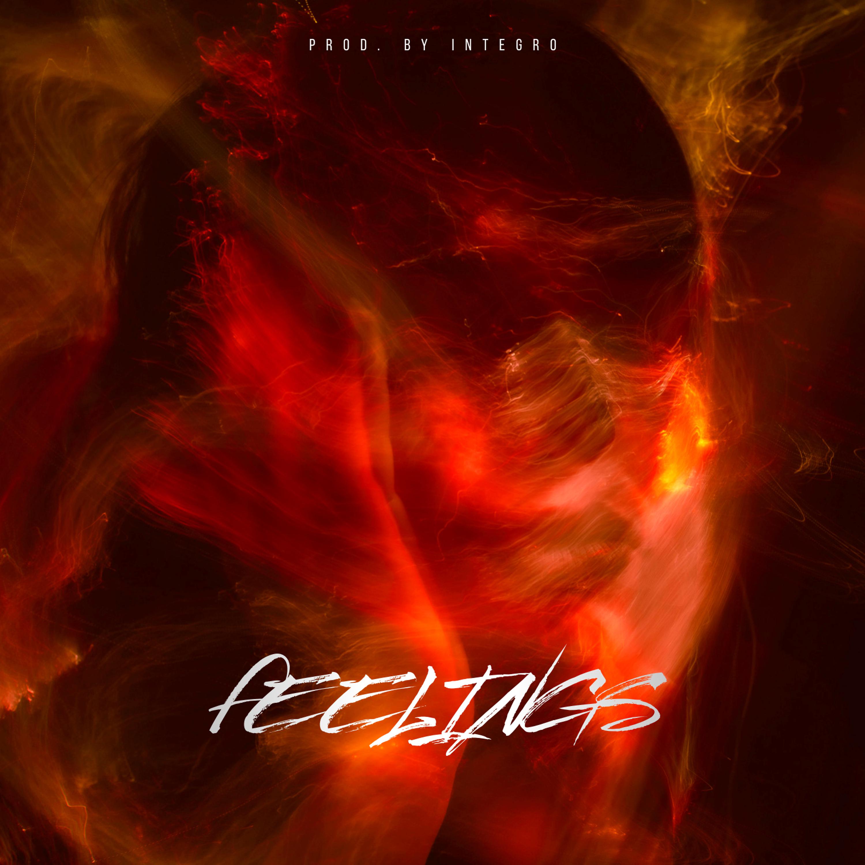 Постер альбома Feelings (Prod. by Integro)