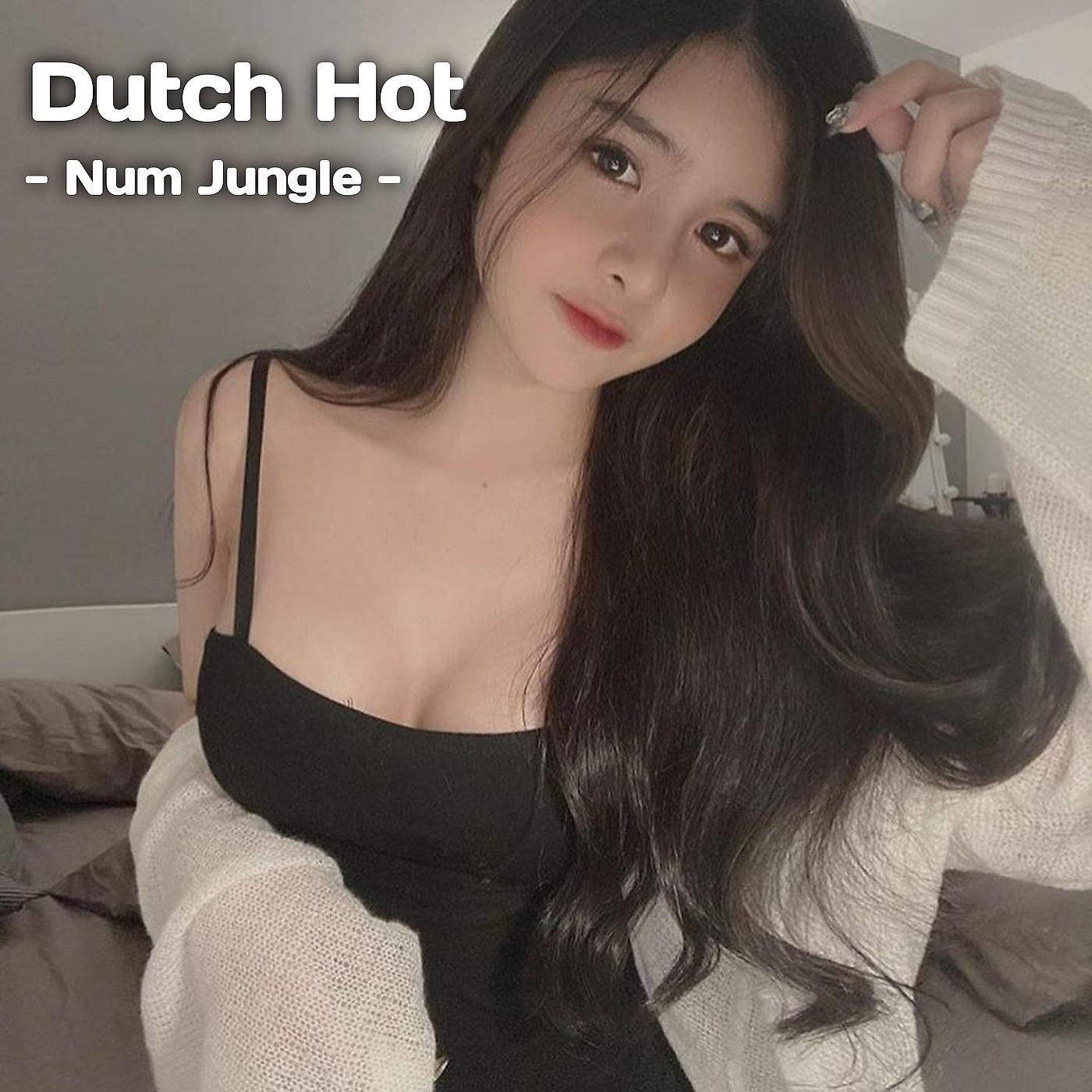 Постер альбома Dutch Hot