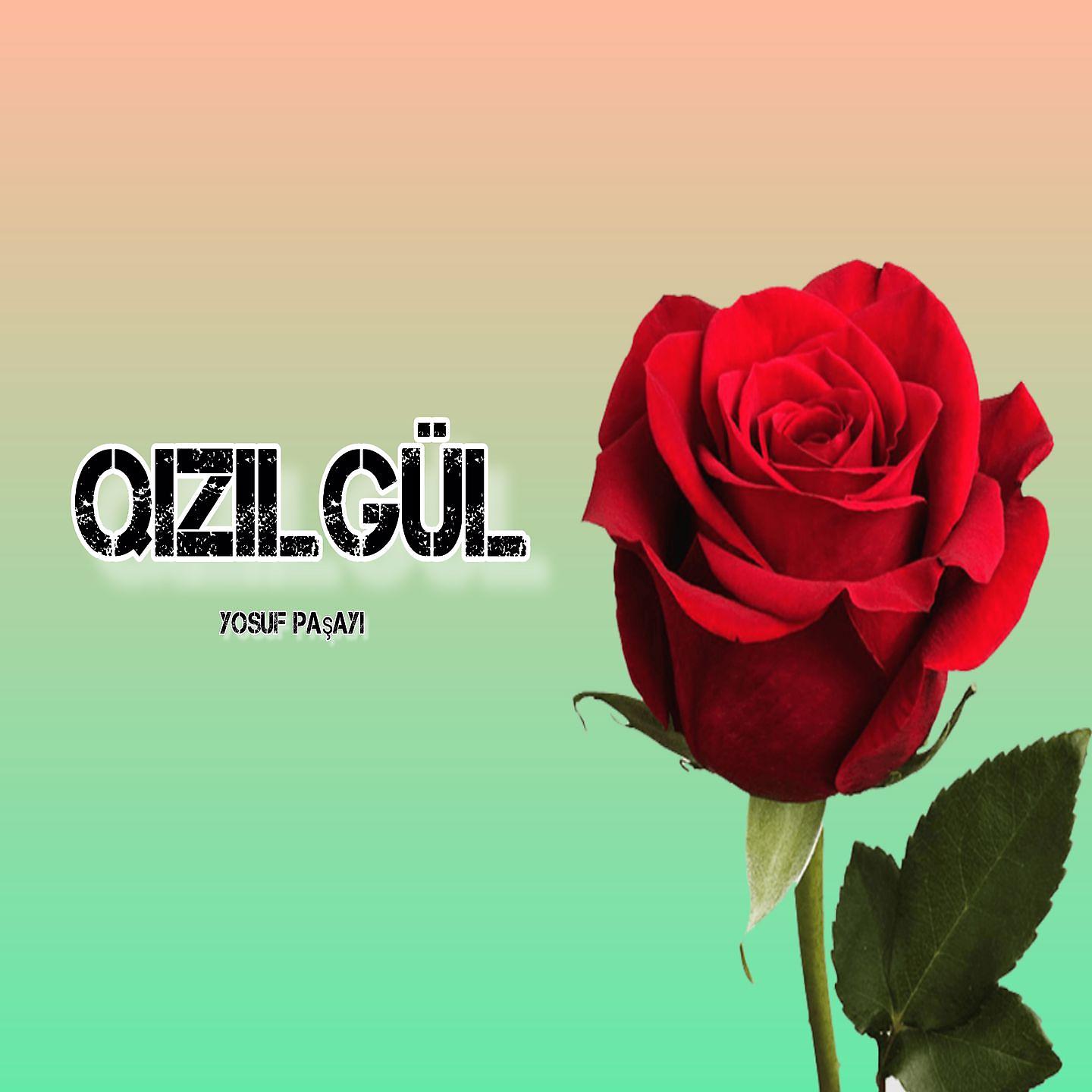 Постер альбома Qızılgül
