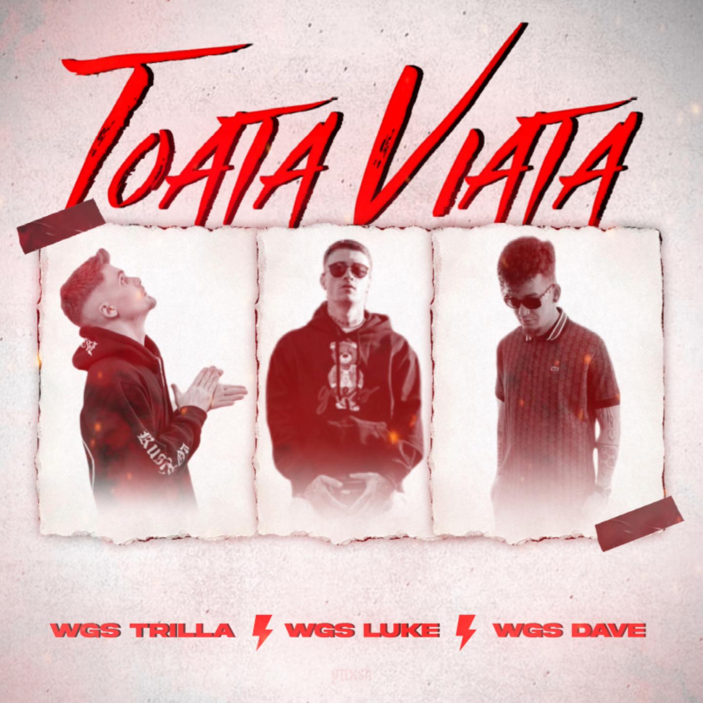 Постер альбома Toata Viata