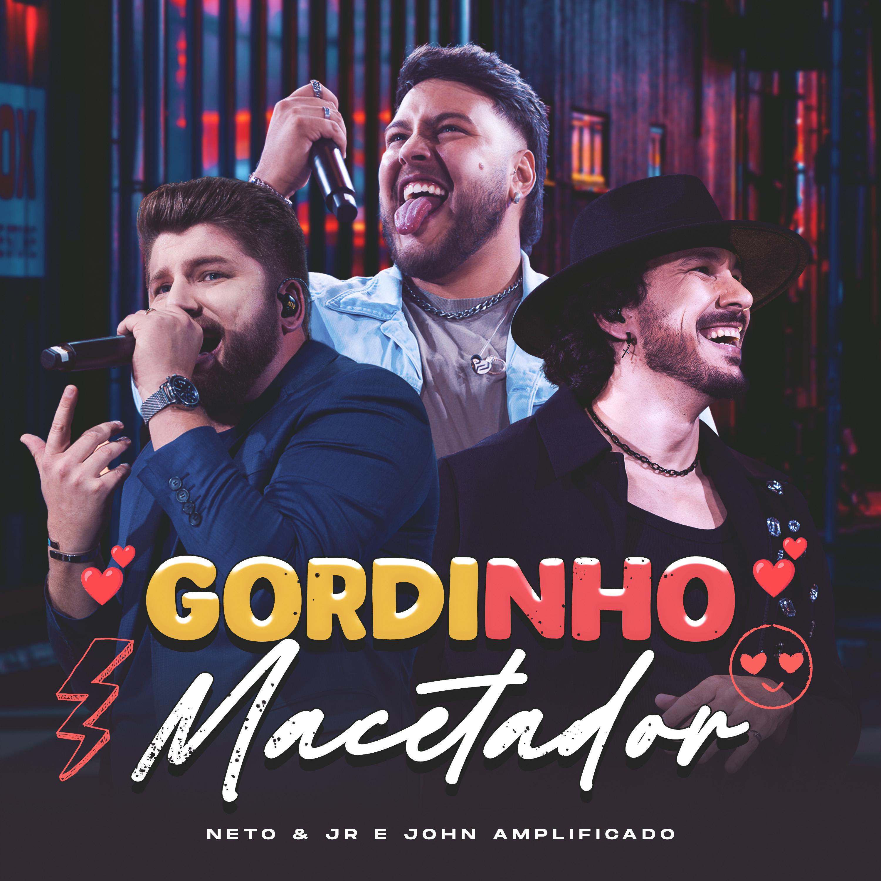 Постер альбома Gordinho Macetador