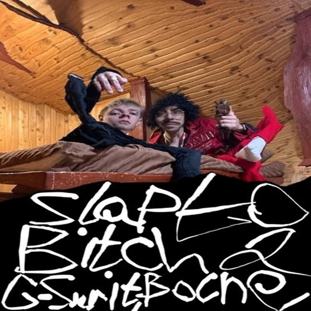 Постер альбома Slap to Bitch 2