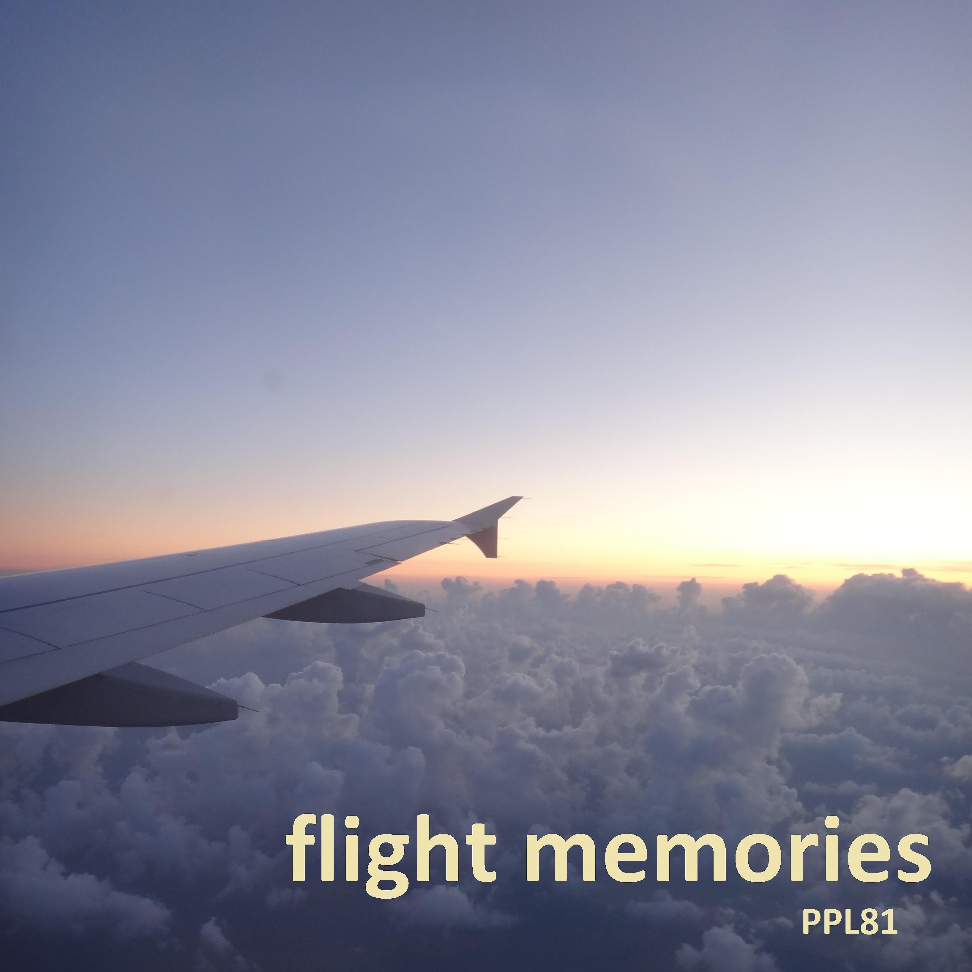 Постер альбома Flight Memories