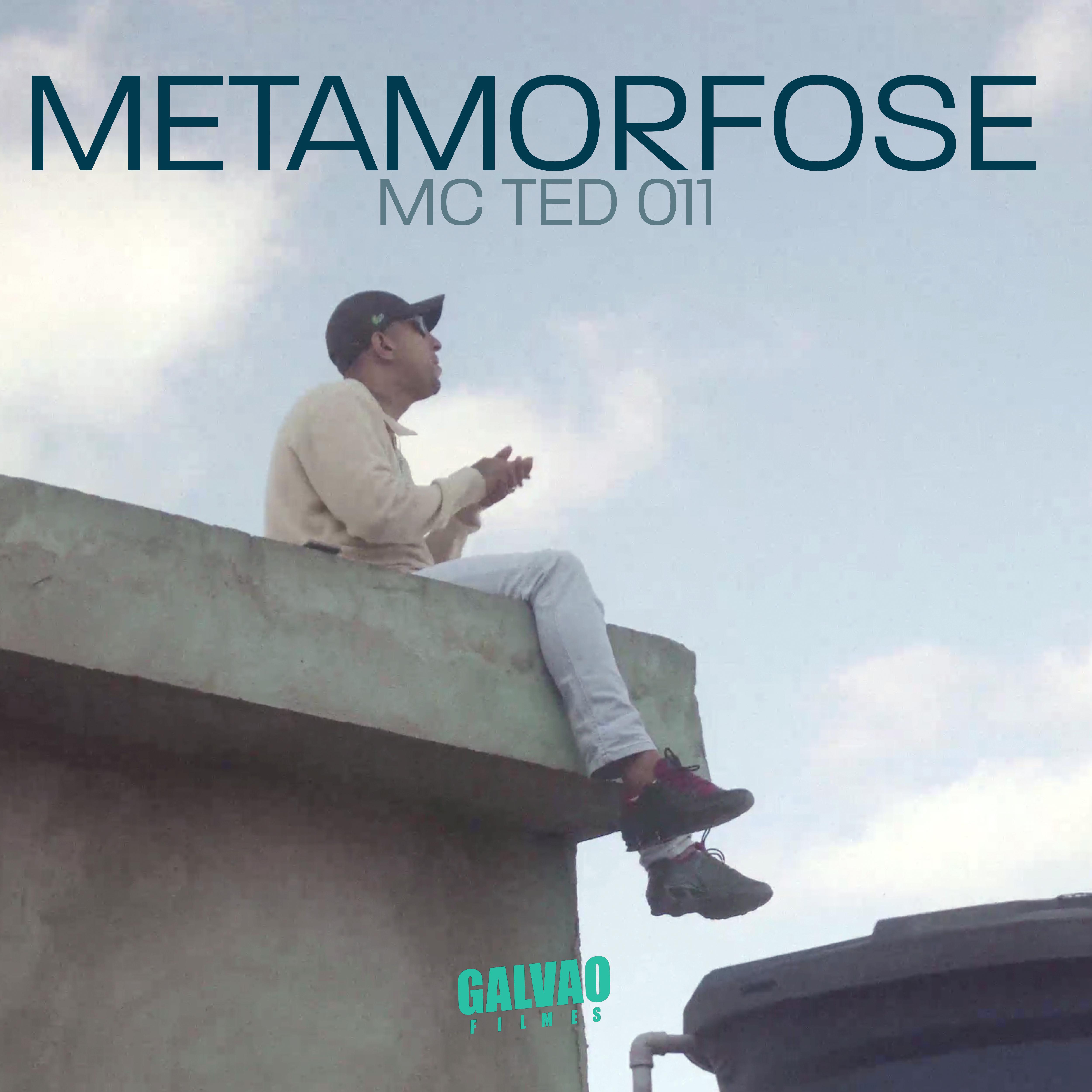 Постер альбома Metamorfose
