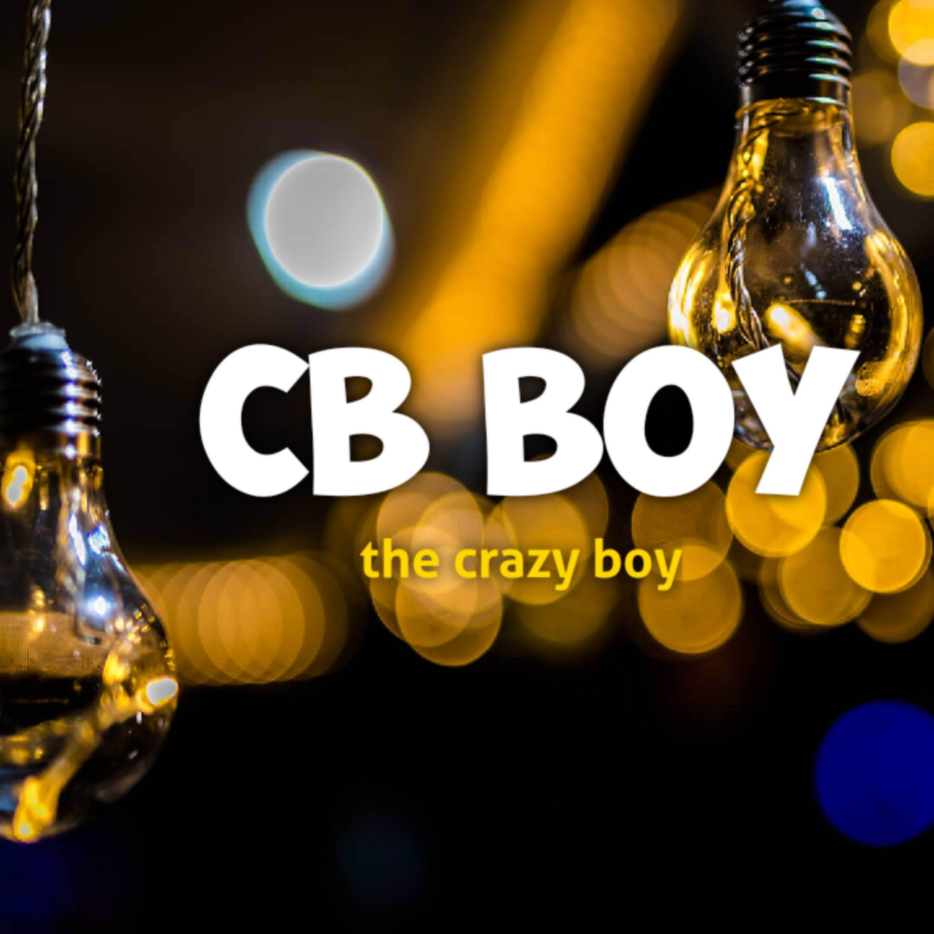 Постер альбома The crazy boy