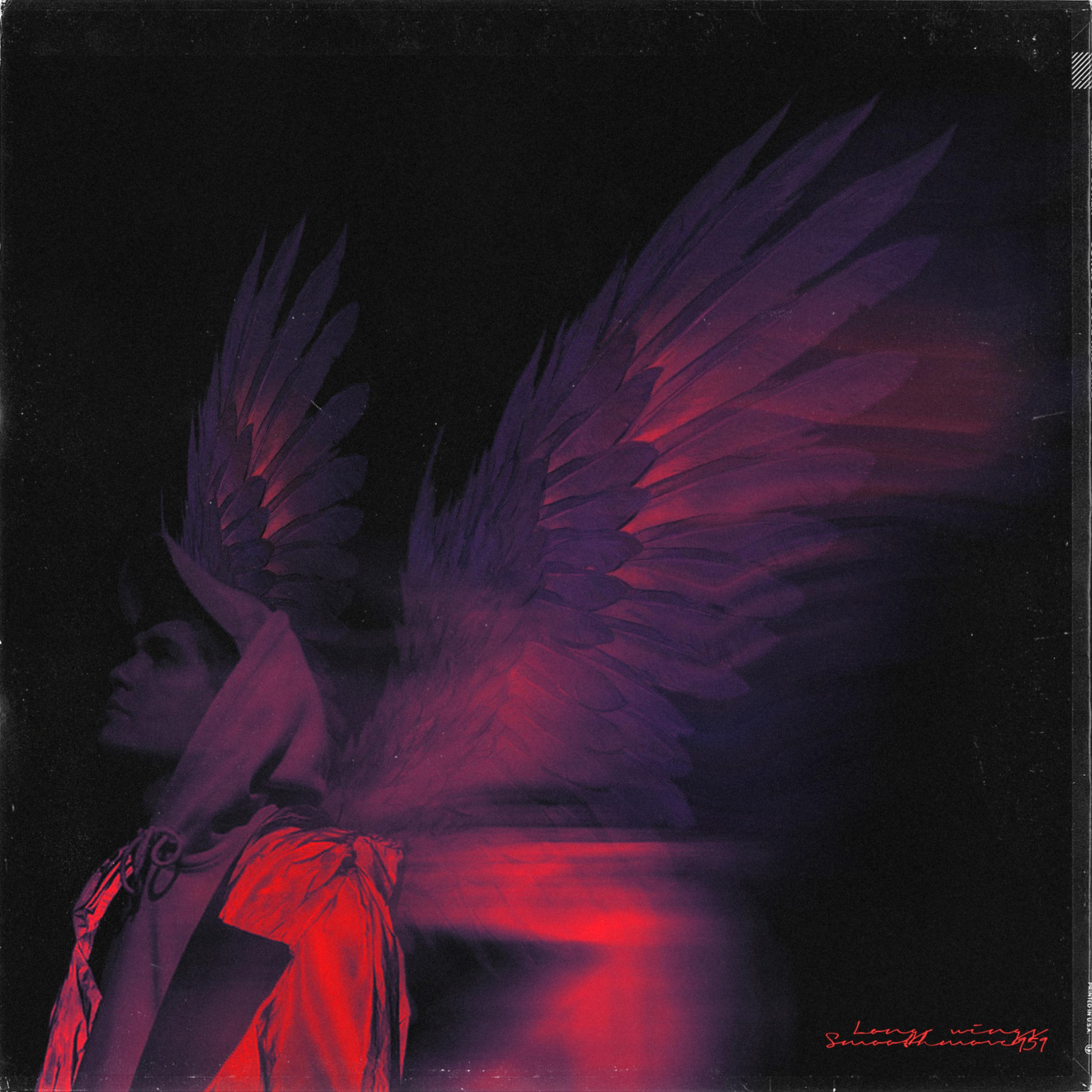 Постер альбома Длинные крылья