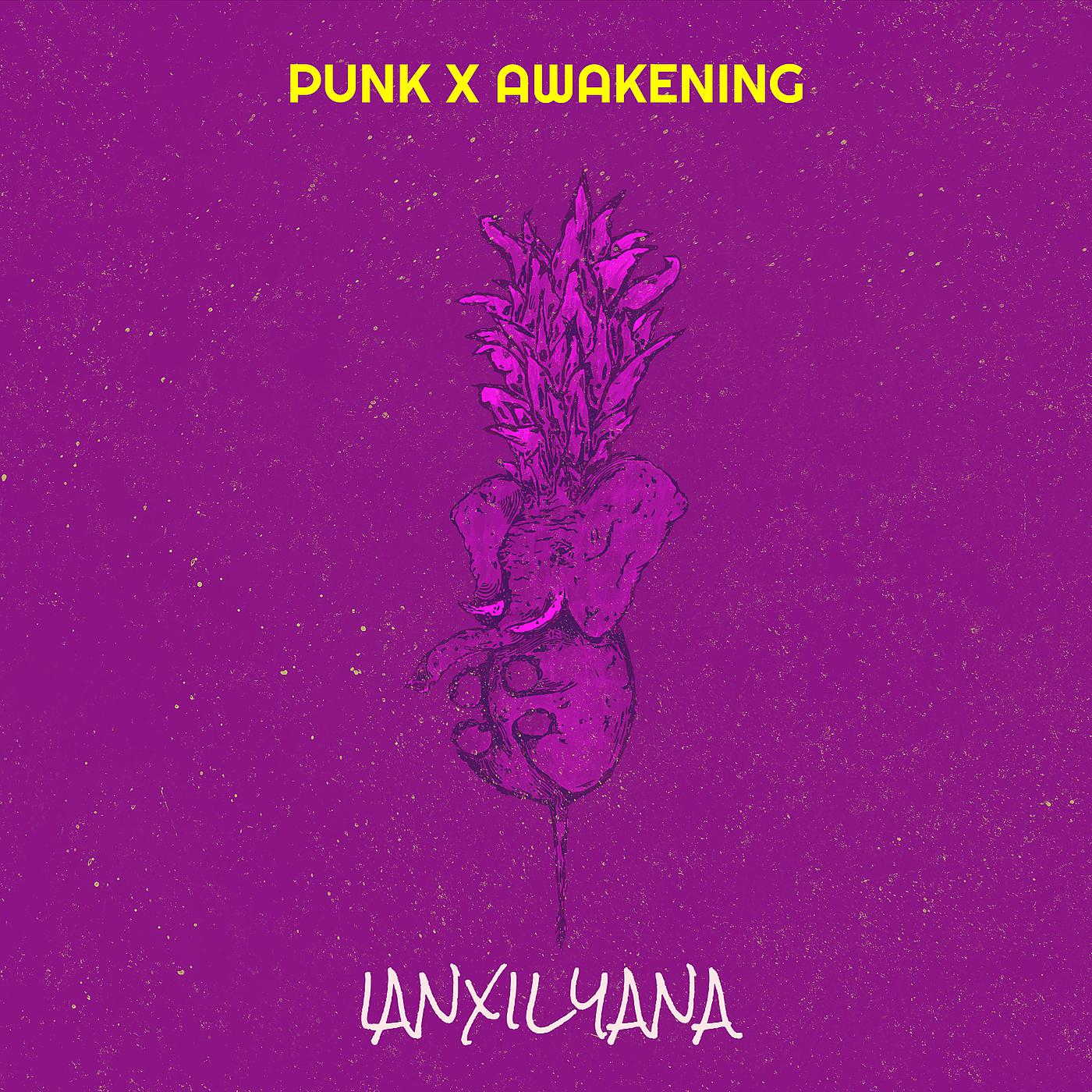 Постер альбома Punk X Awakening