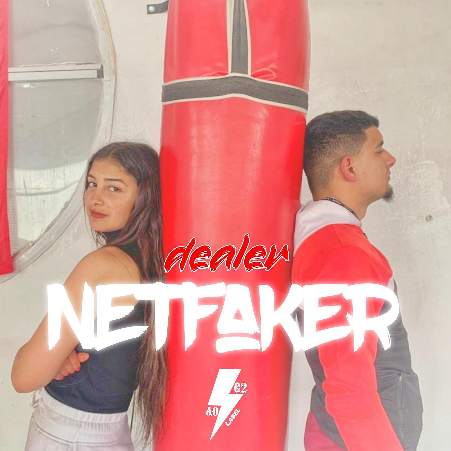 Постер альбома Netfaker