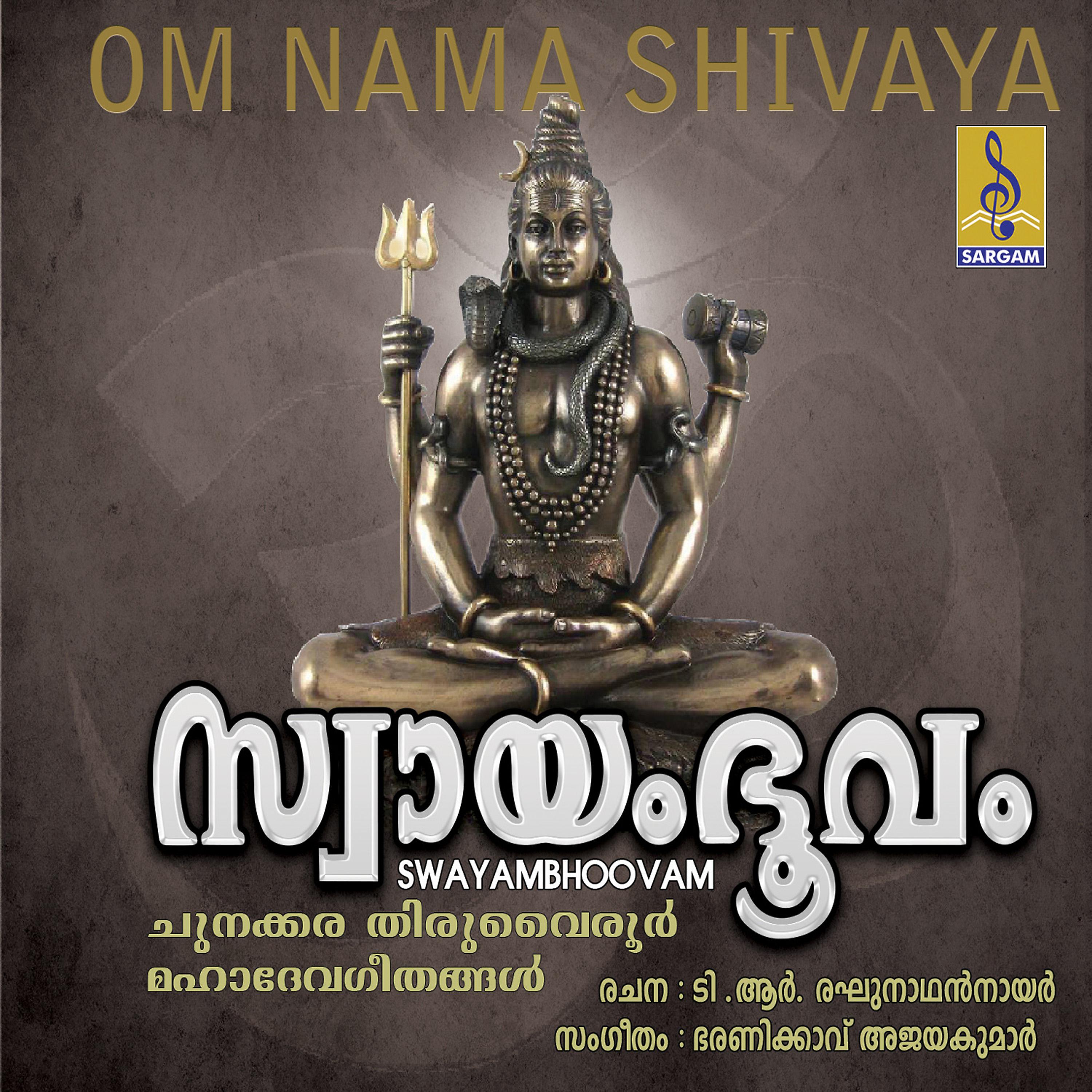 Постер альбома Swayambhoovam