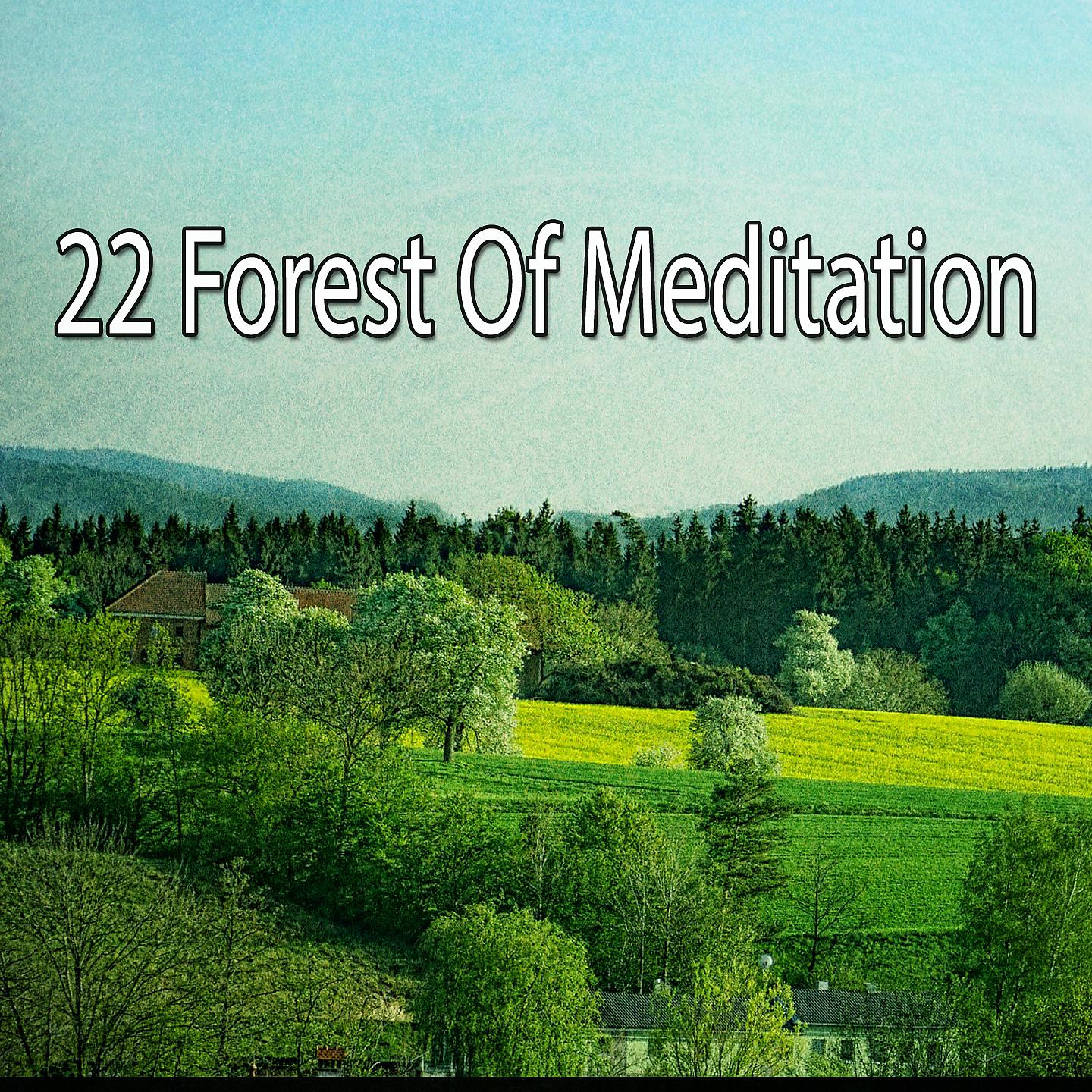 Постер альбома 22 Лес Медитации