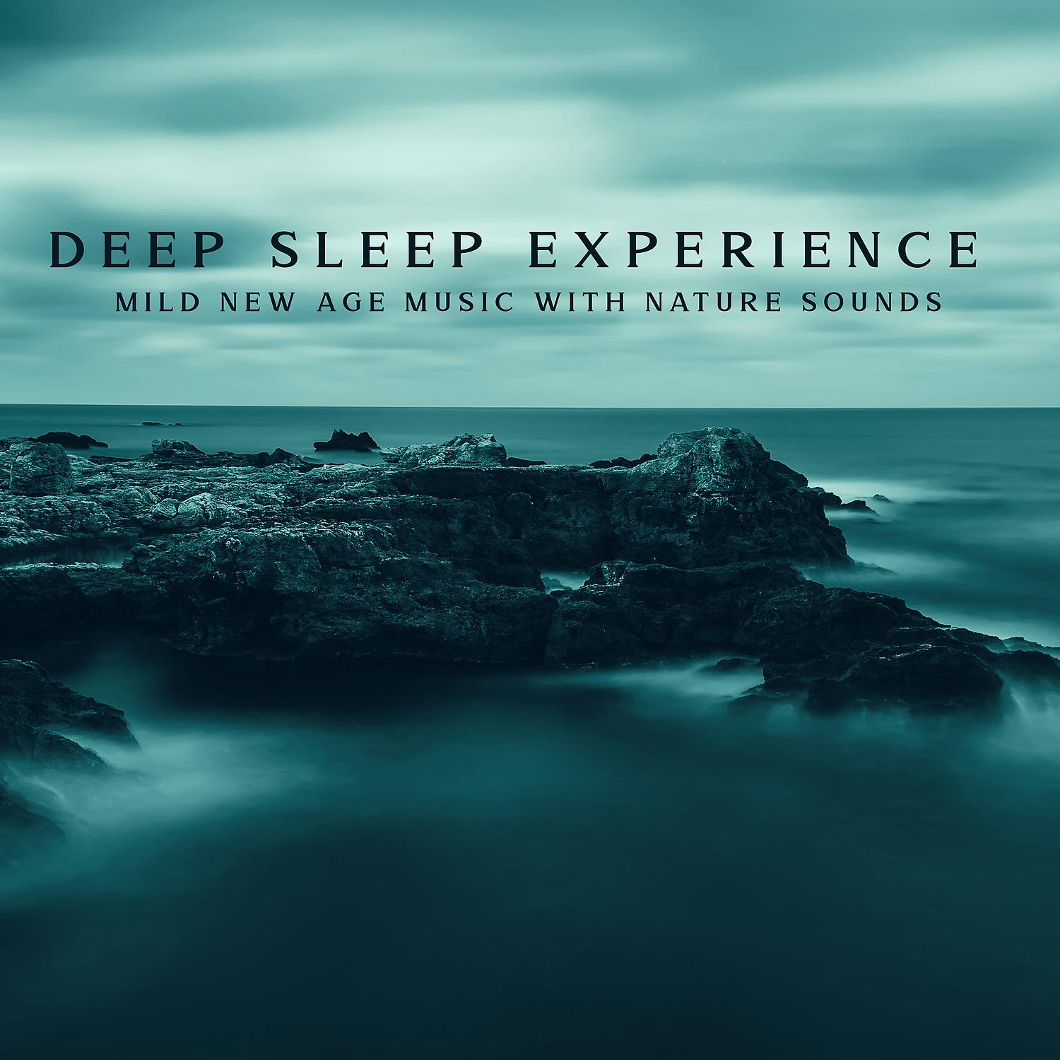 Постер альбома Deep Sleep Experience: Mild New Age Music with Nature Sounds