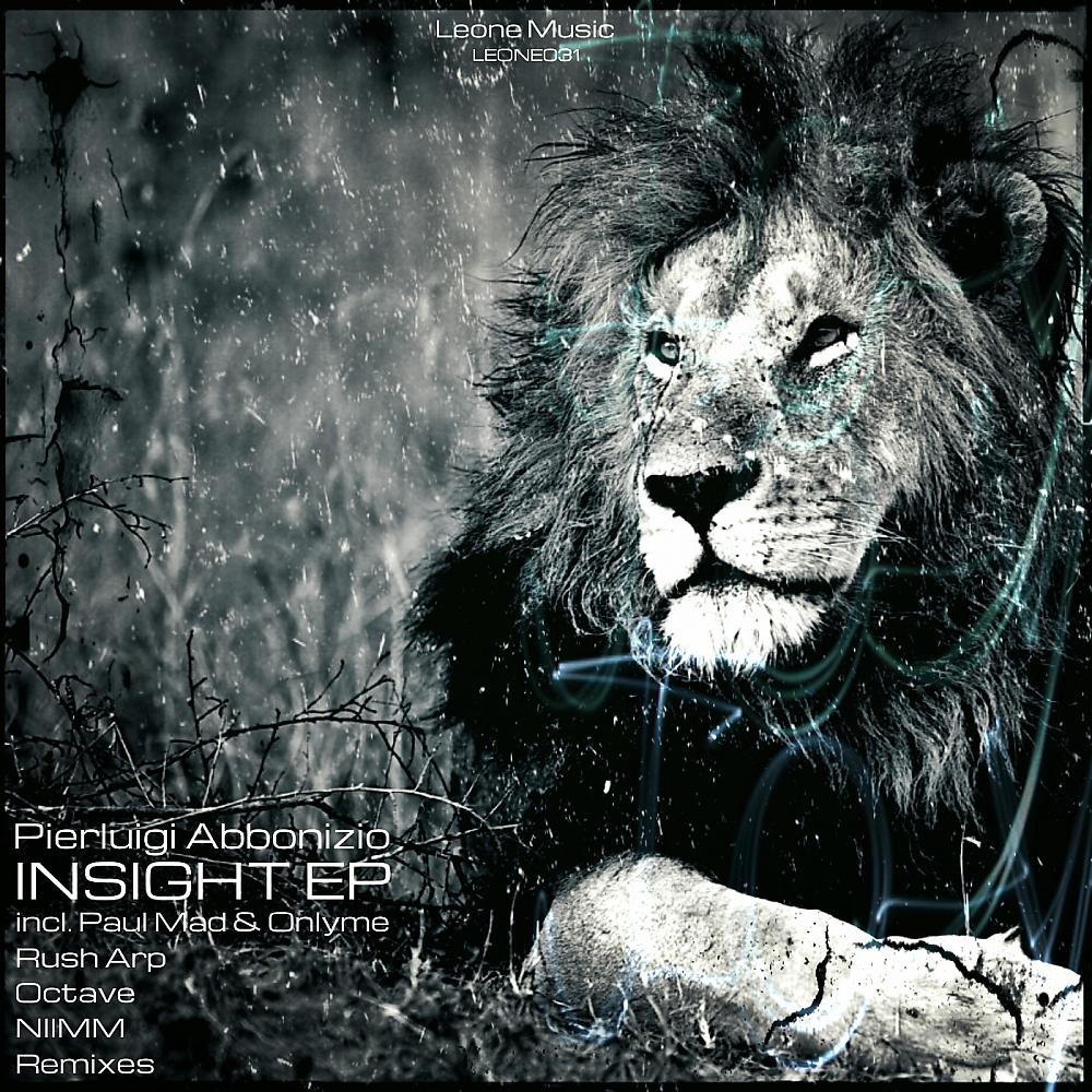 Постер альбома Insight