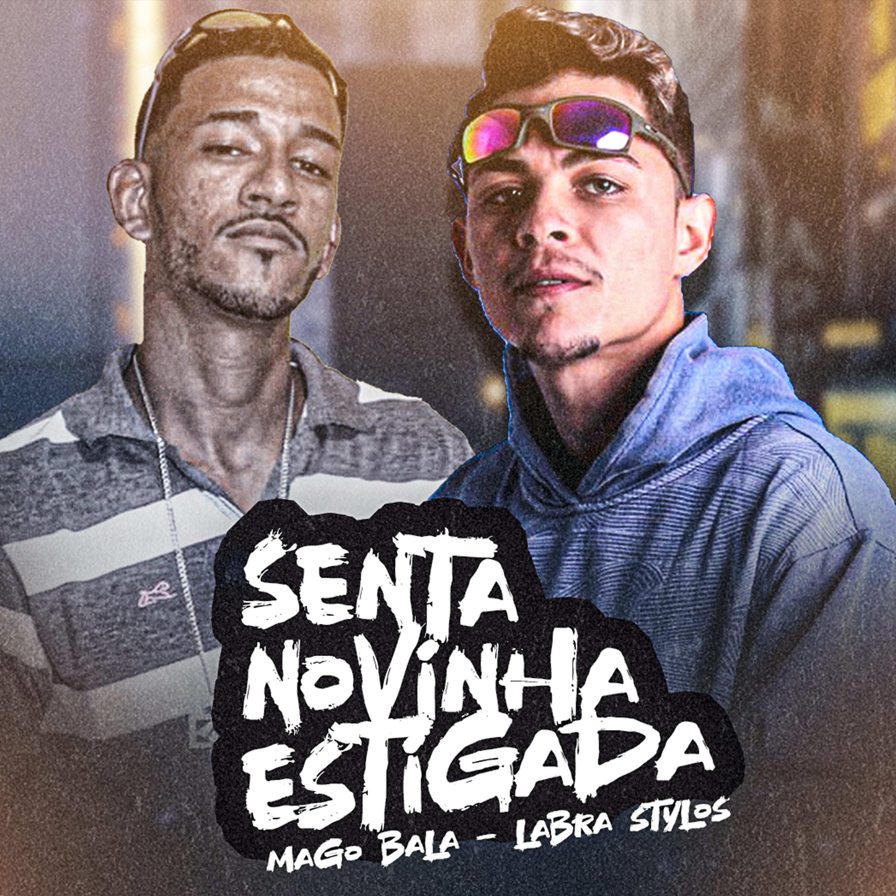 Постер альбома Senta Novinha Estigada