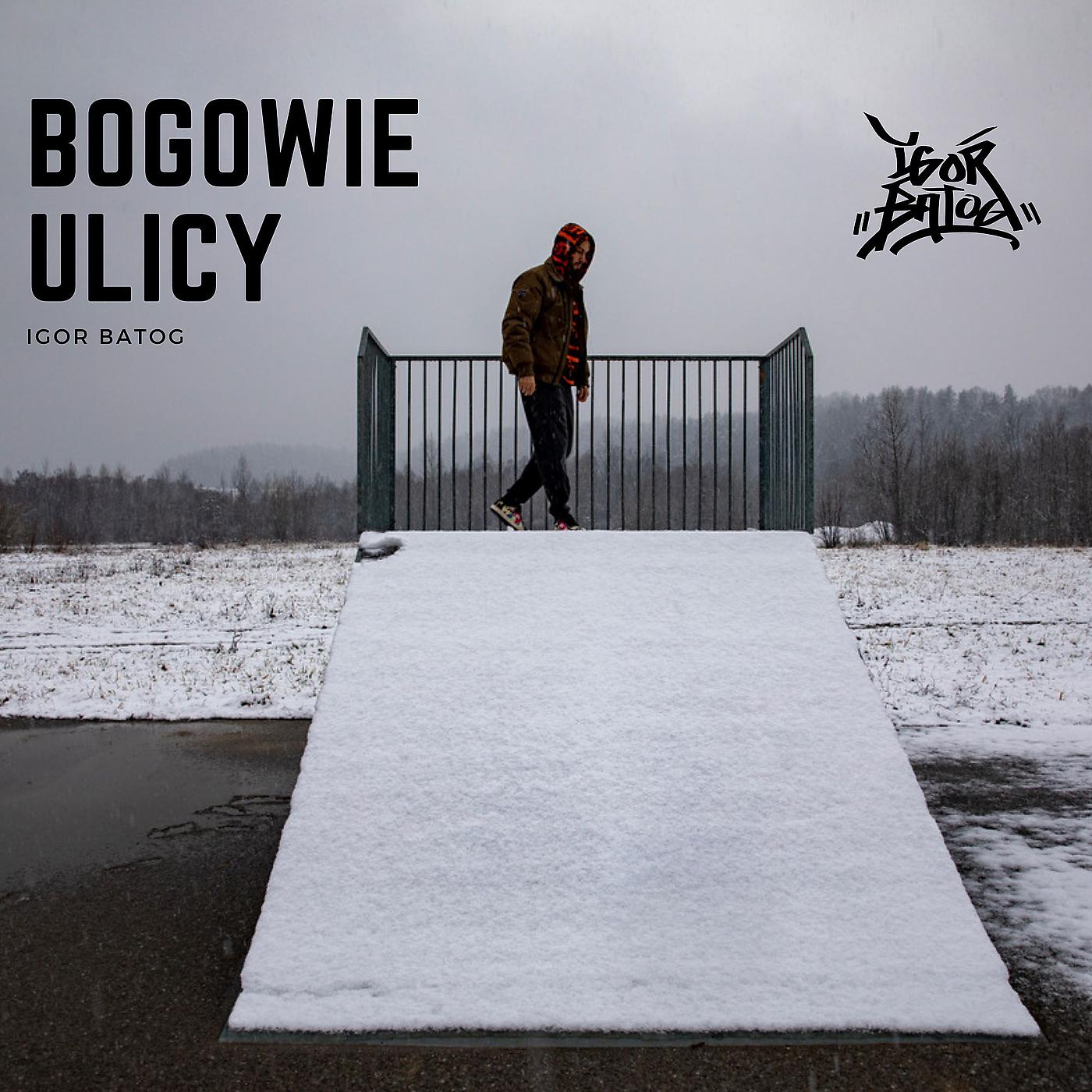 Постер альбома Bogowie Ulicy