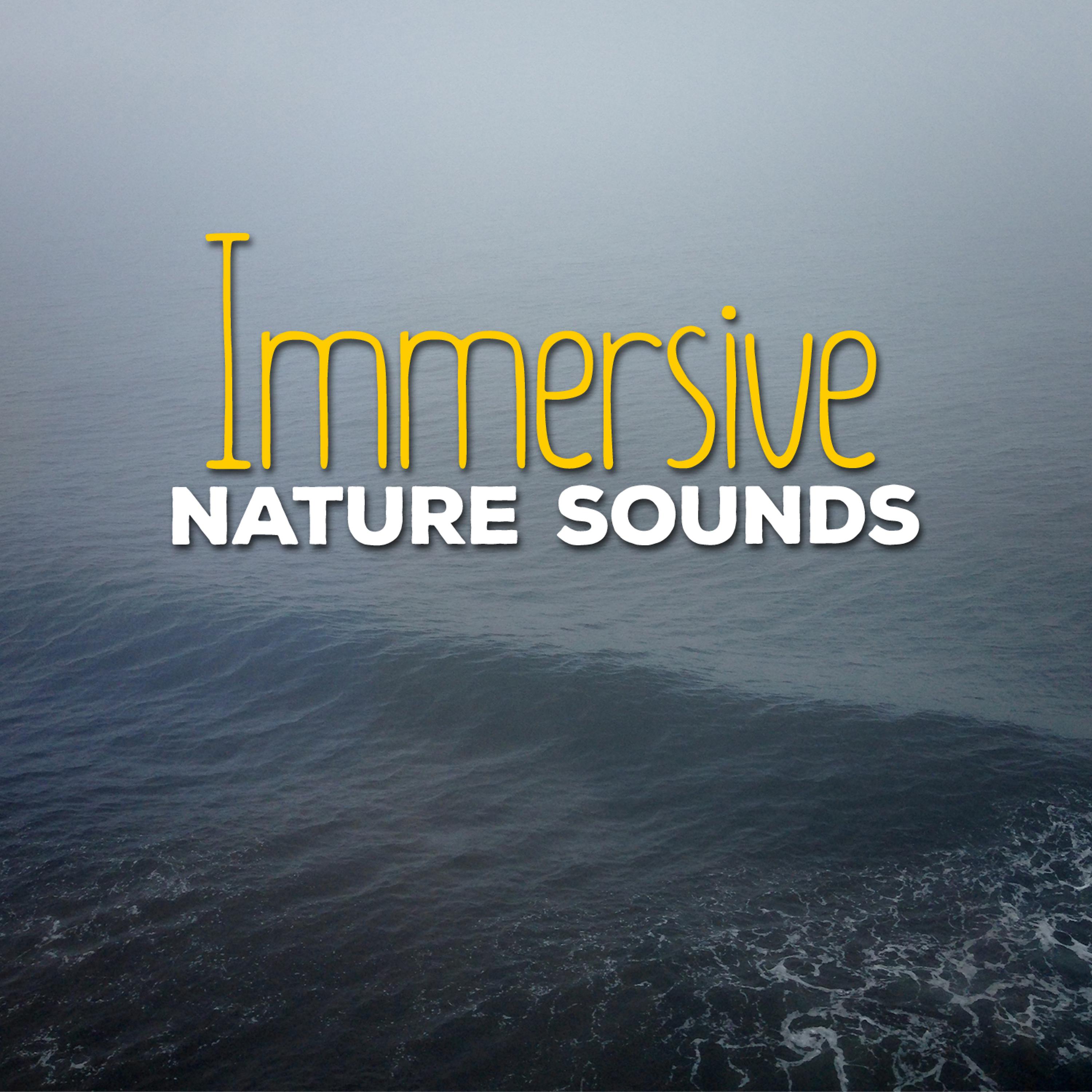 Постер альбома Immersive Nature Sounds