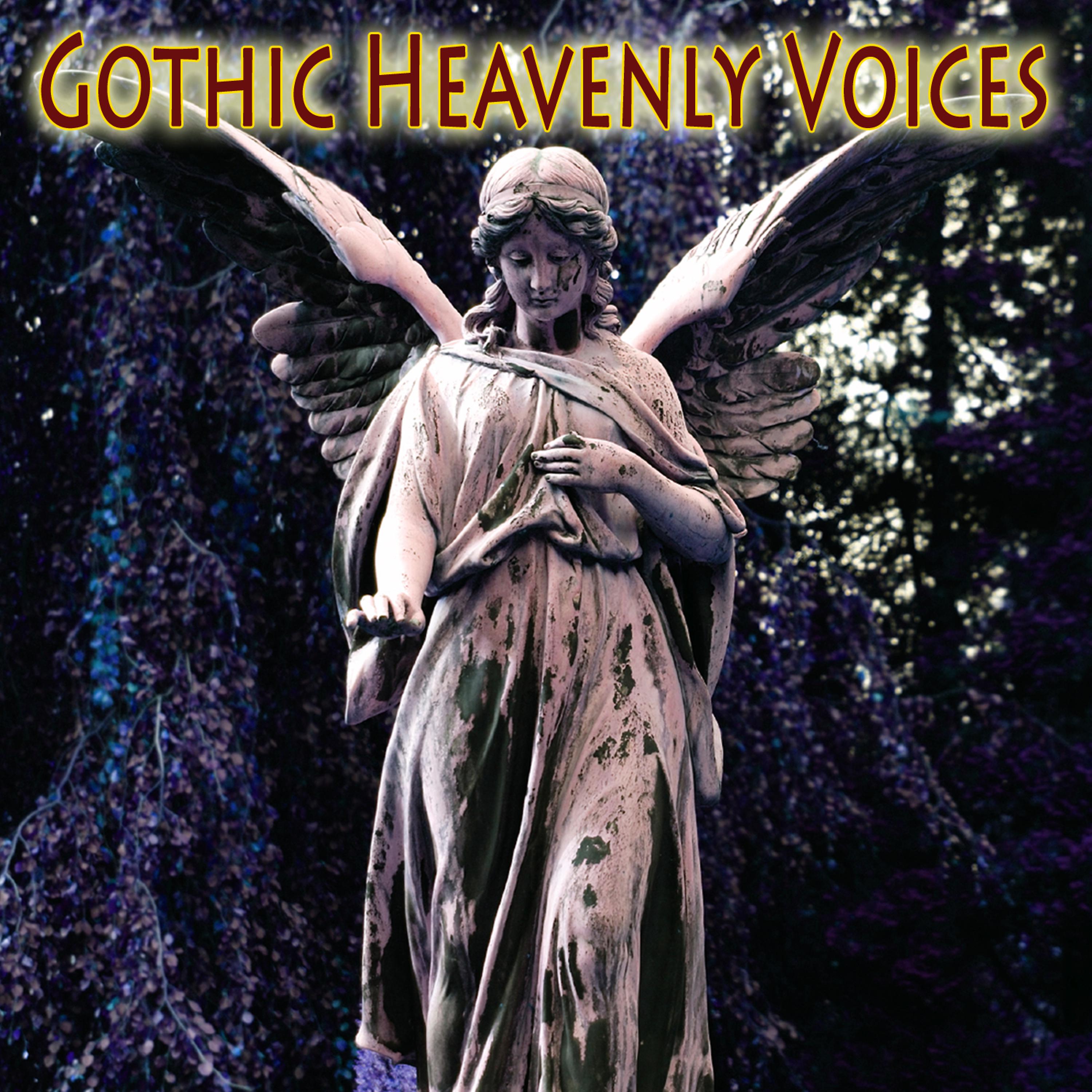 Постер альбома Gothic Heavenly Voices
