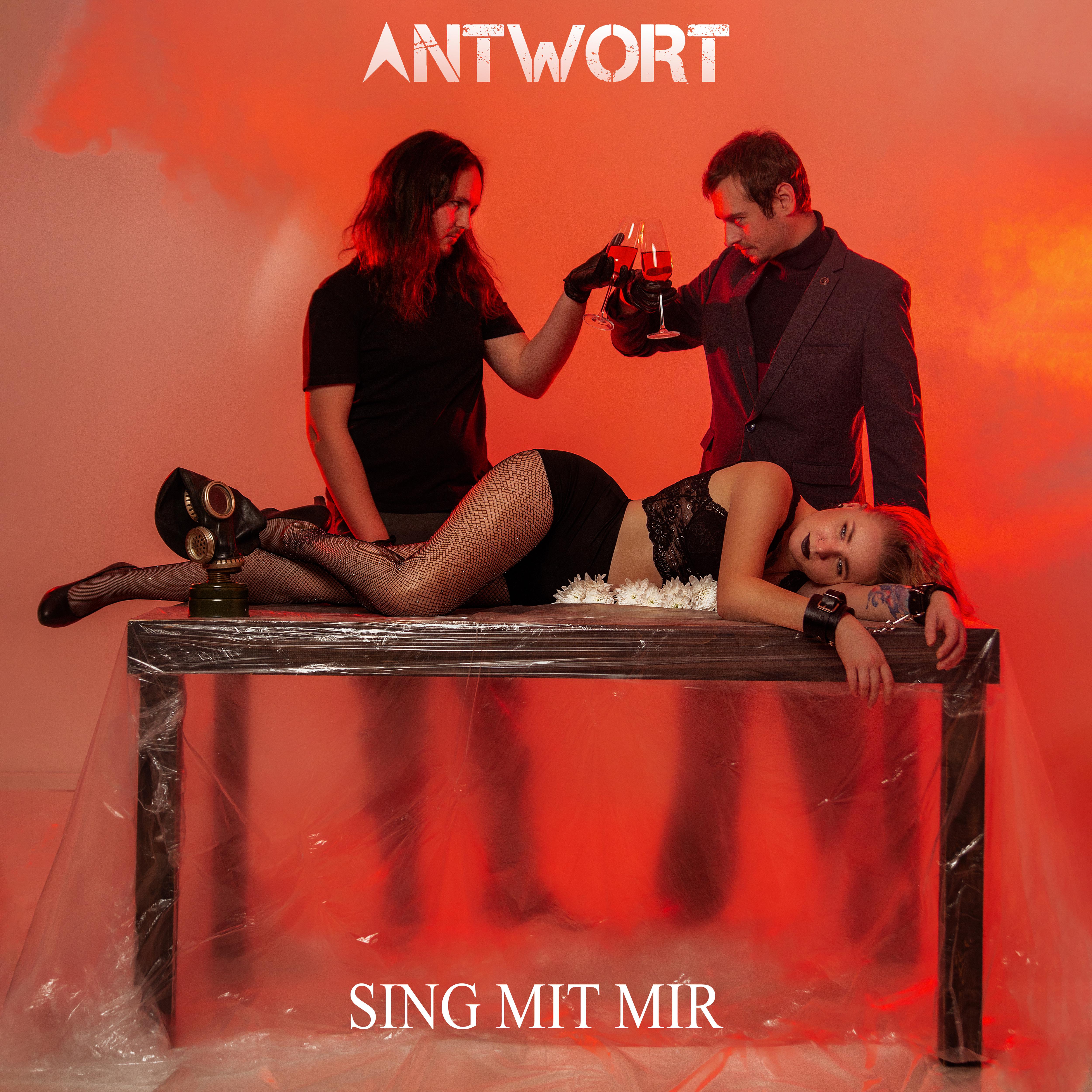 Постер альбома Sing Mit Mir