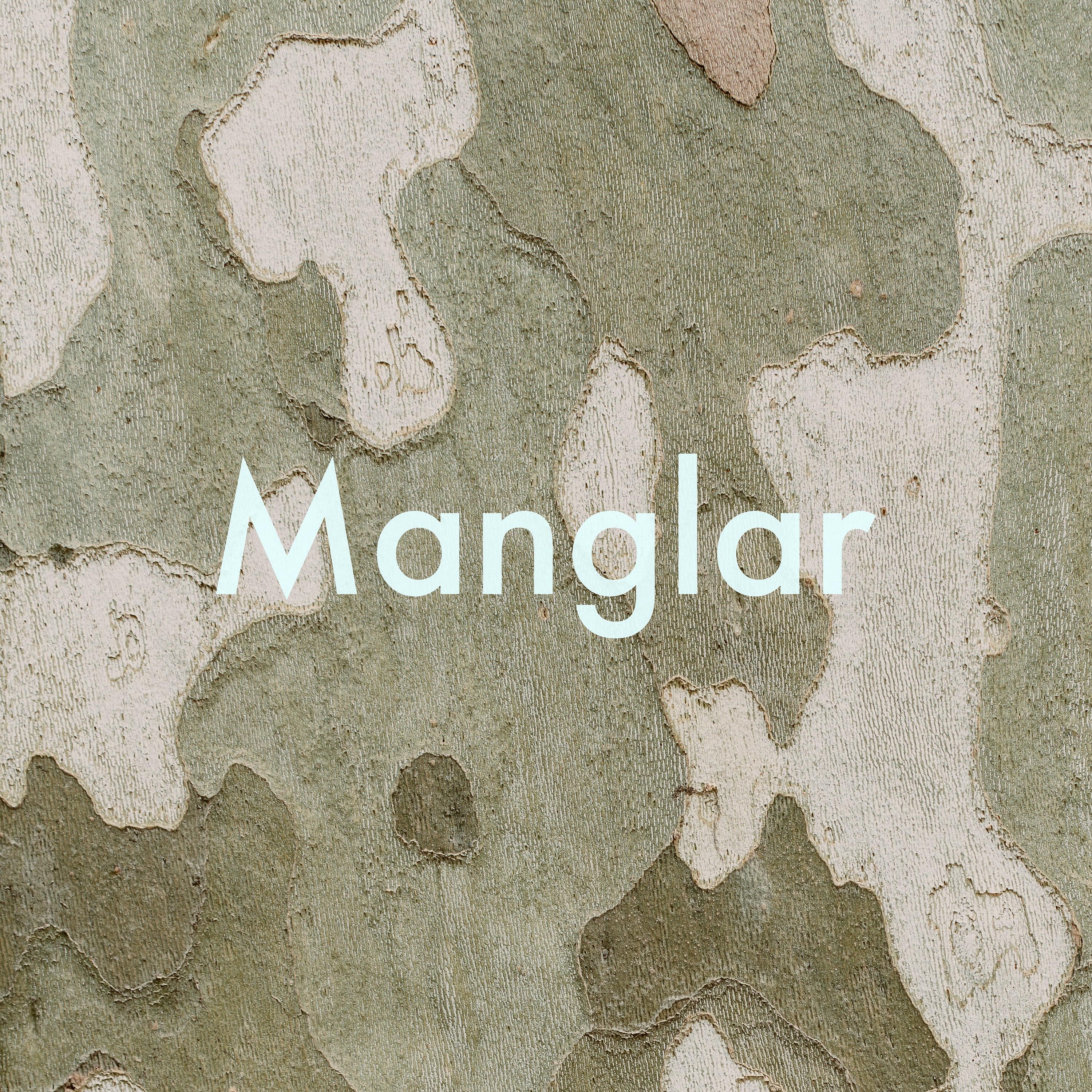 Постер альбома Manglar