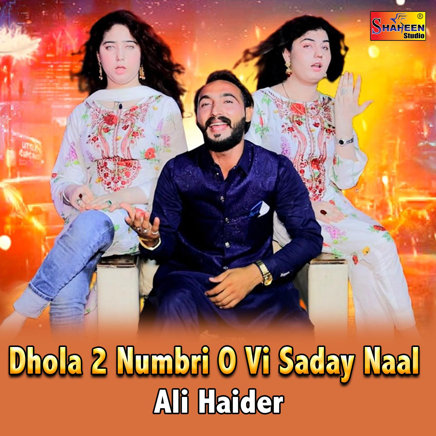 Постер альбома Dhola 2 Numbri O Vi Saday Naal