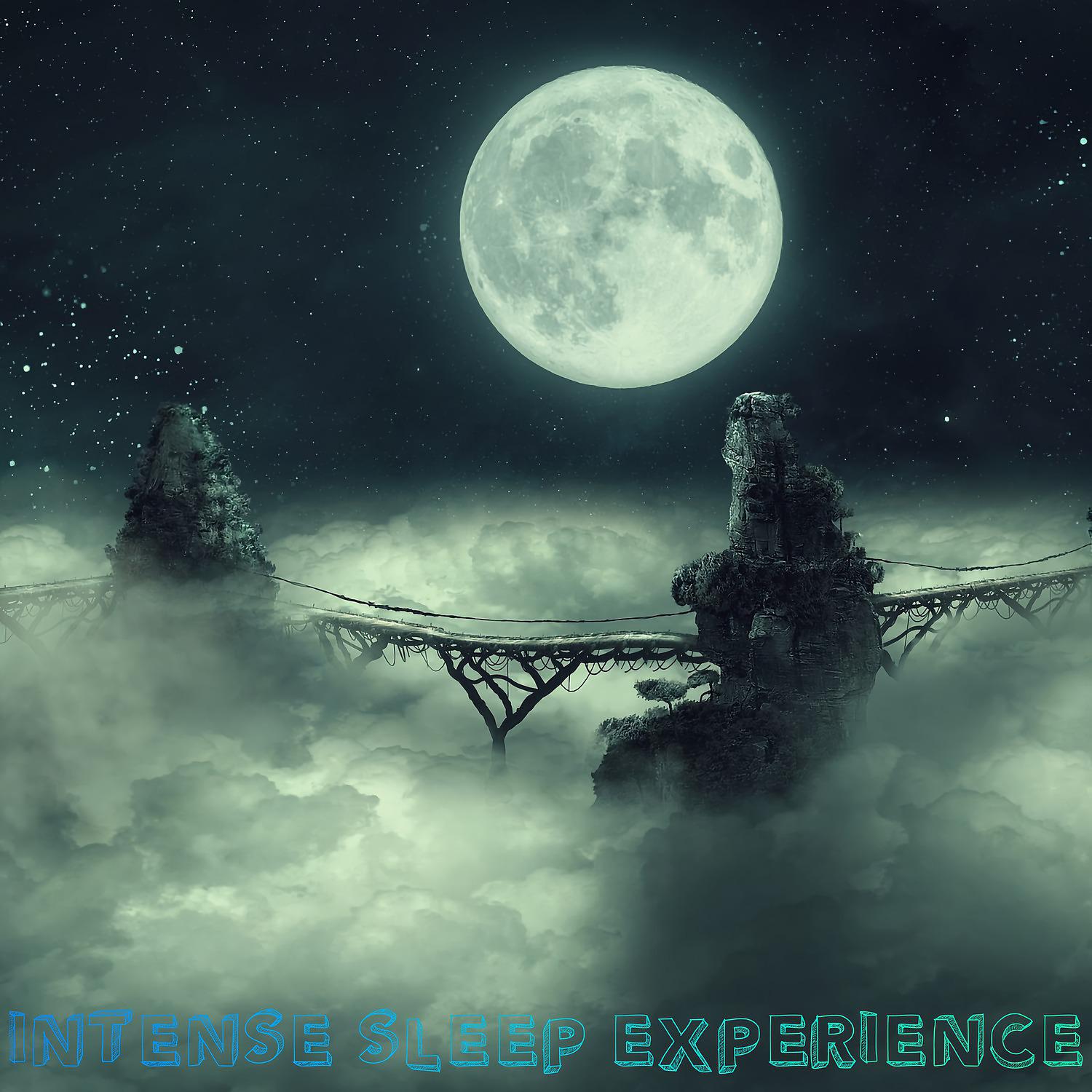 Постер альбома Intense Sleep Experience