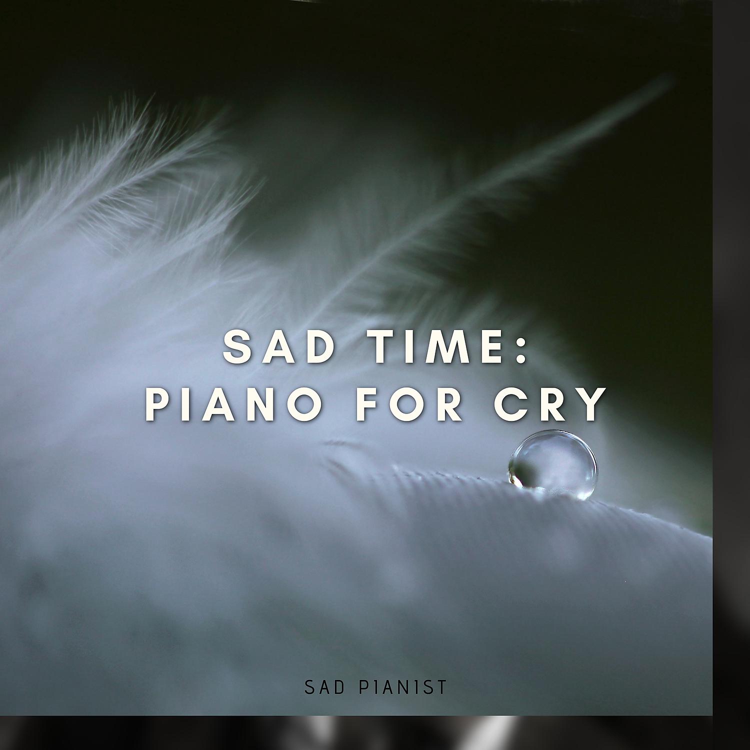 Постер альбома Sad Time: Piano for Cry