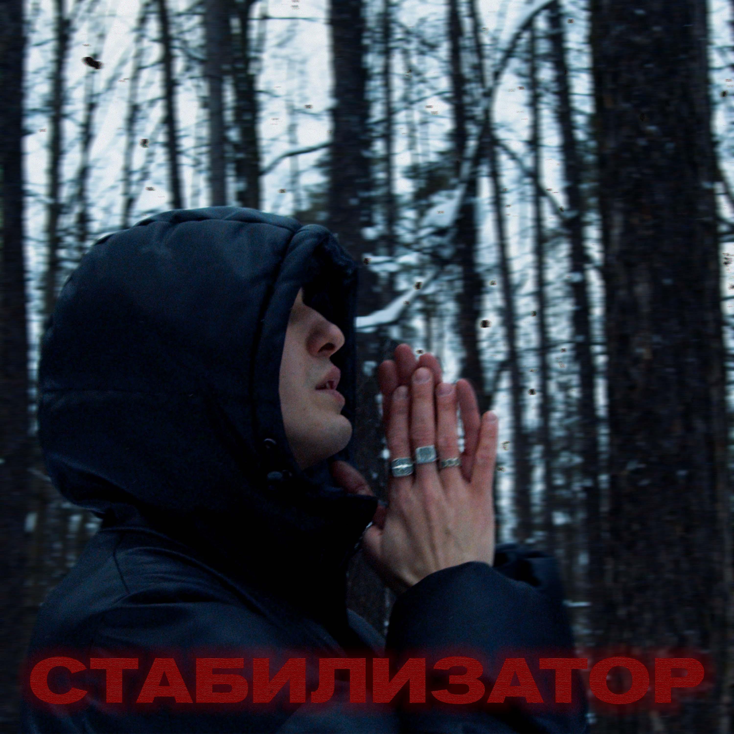 Постер альбома Стабилизатор