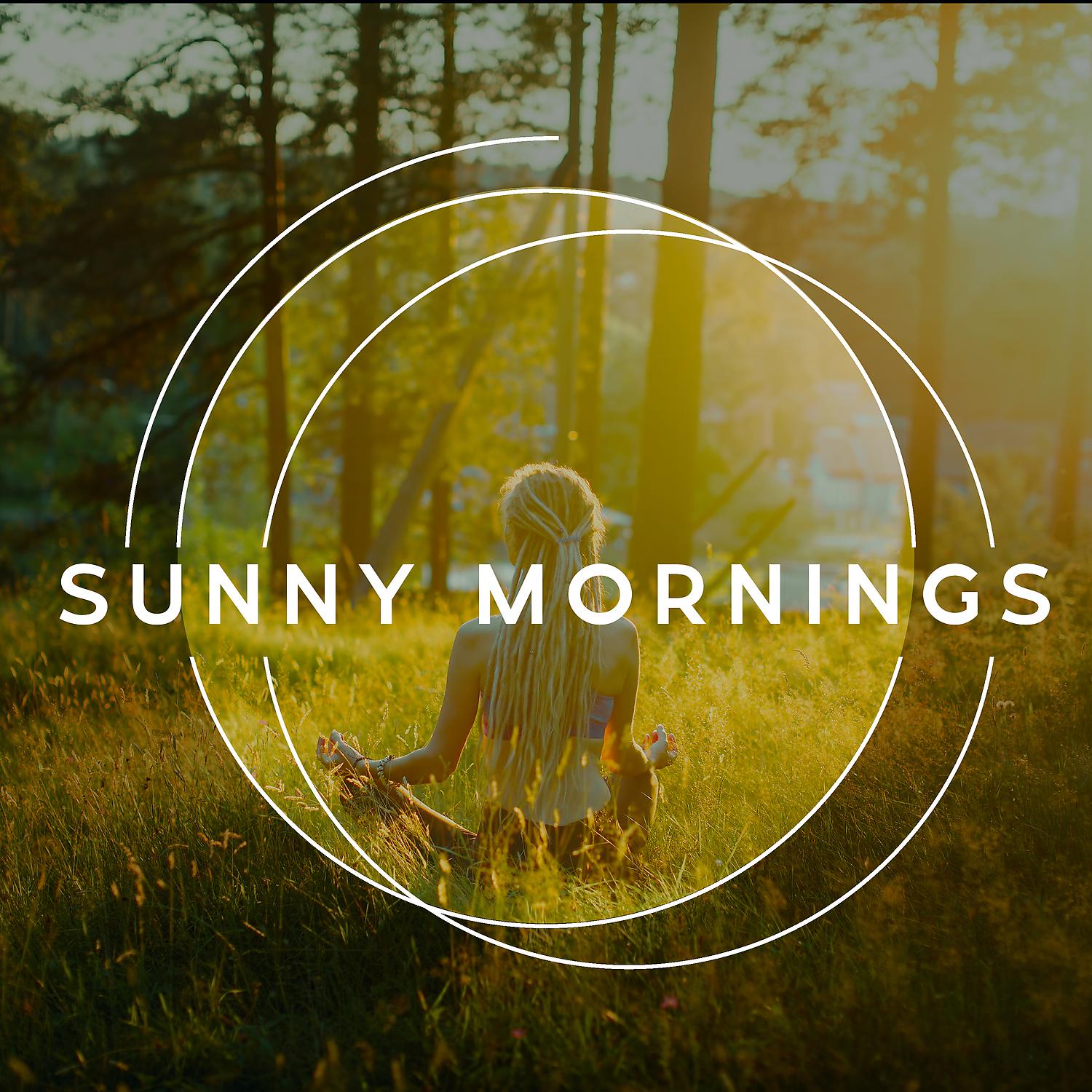 Постер альбома Sunny Mornings - Beautiful Piano Music & Guitar Songs for Perfect Starts a Day, Yoga Meditation and Relaxation