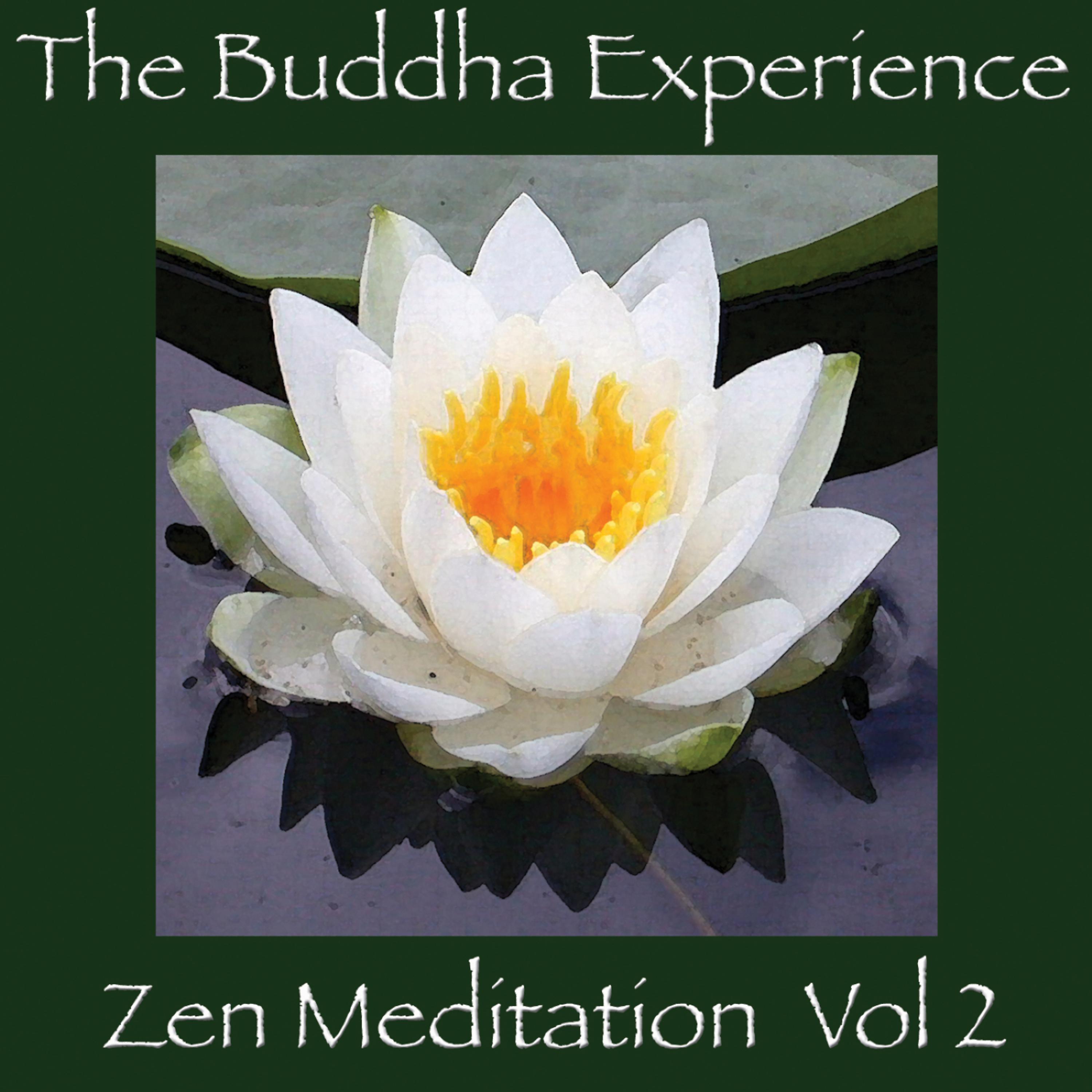 Постер альбома The Buddha Experience-Zen Meditation Vol. 2