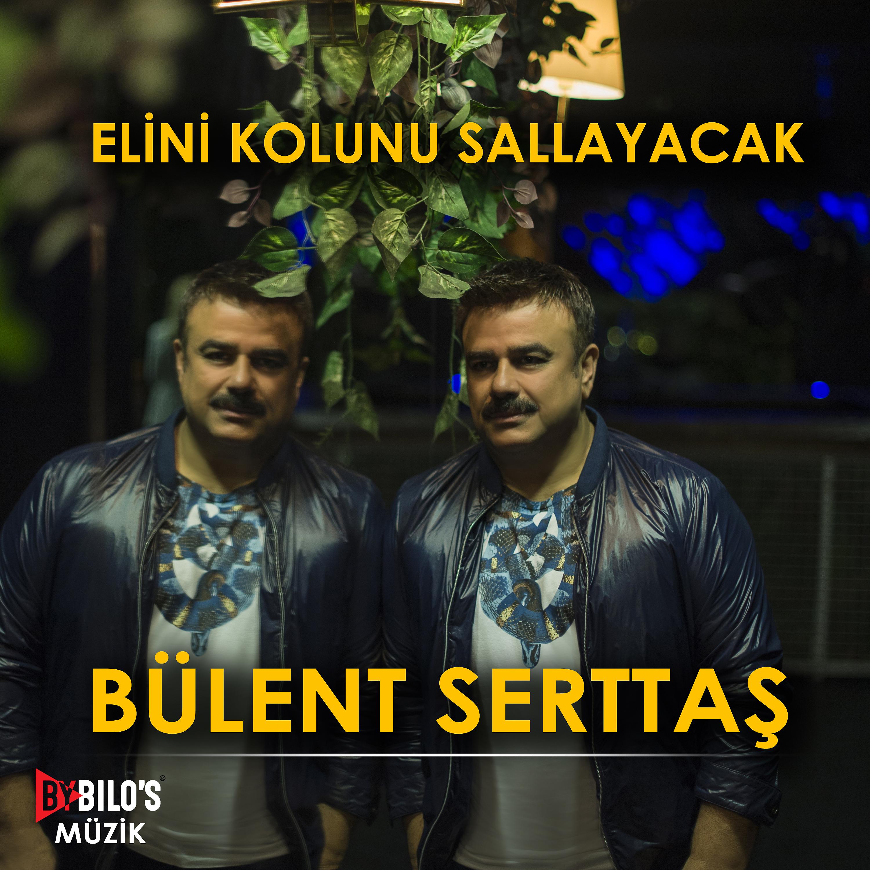 Постер альбома Elini Kolunu Sallayacak
