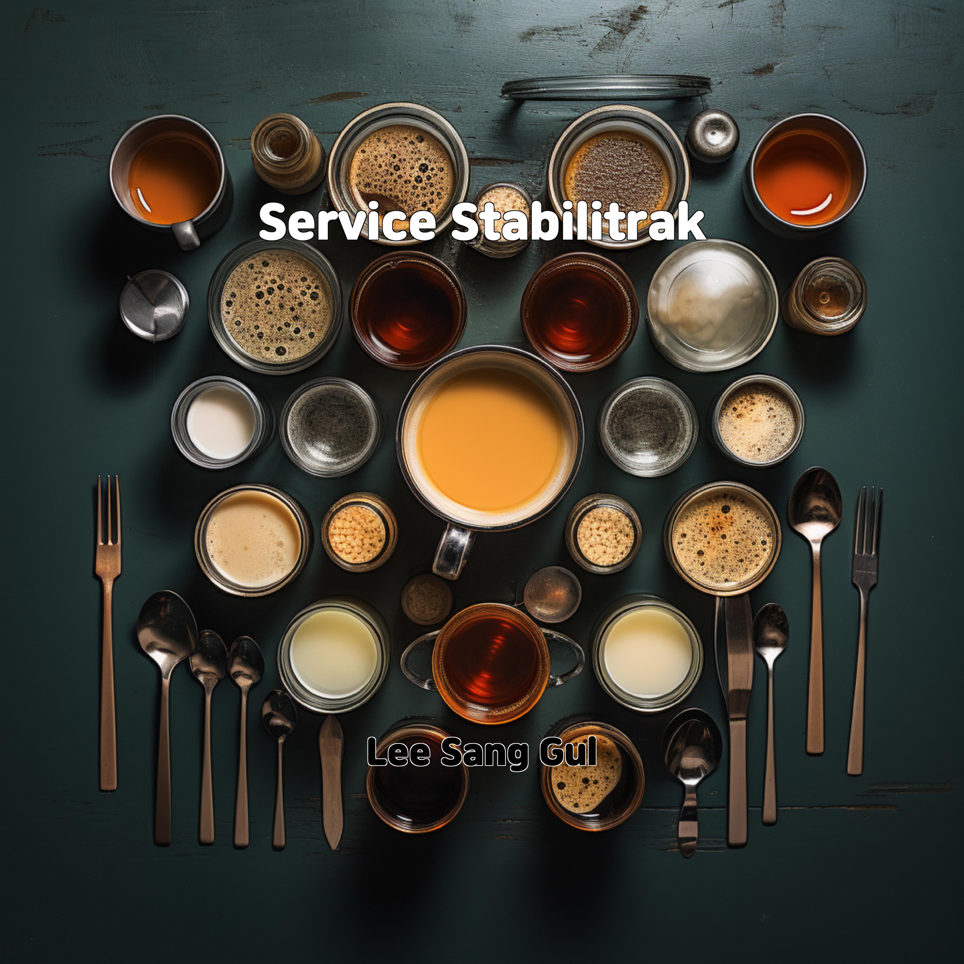 Постер альбома Service Stabilitrak