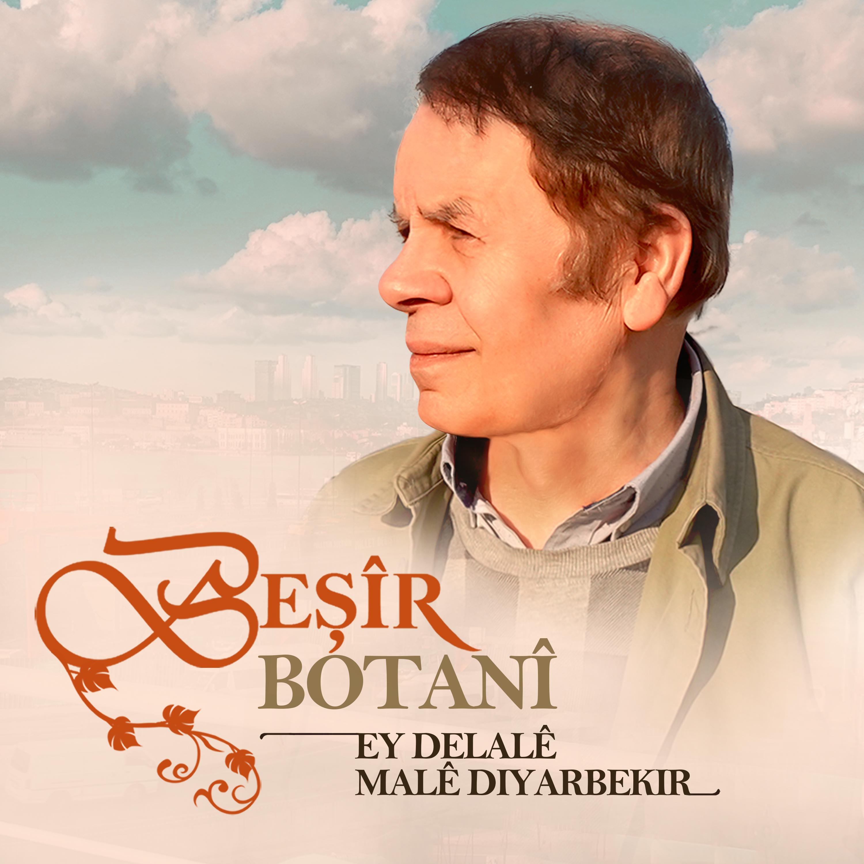 Постер альбома Ey Delalê Malê Diyarbekir