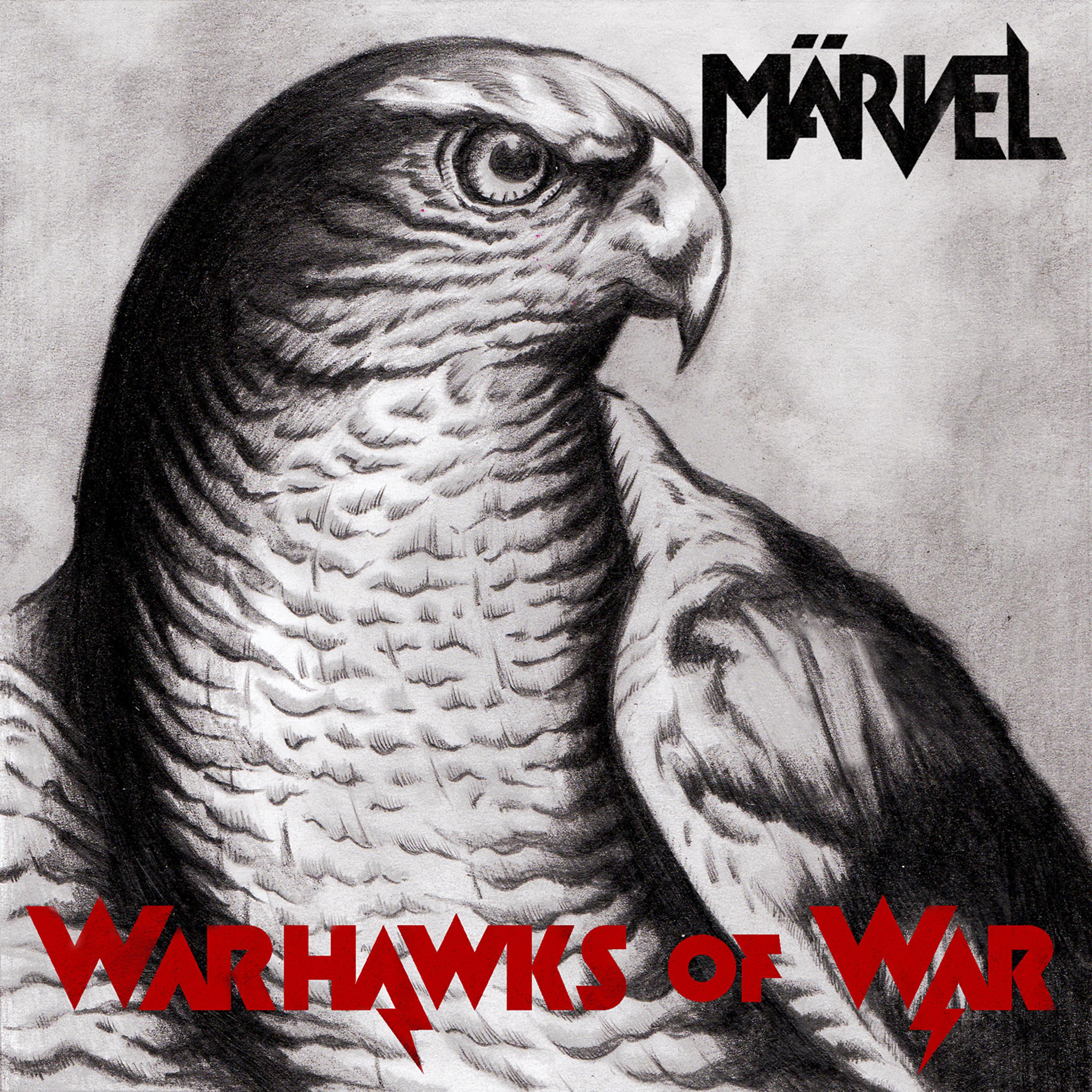 Постер альбома Warhawks of War