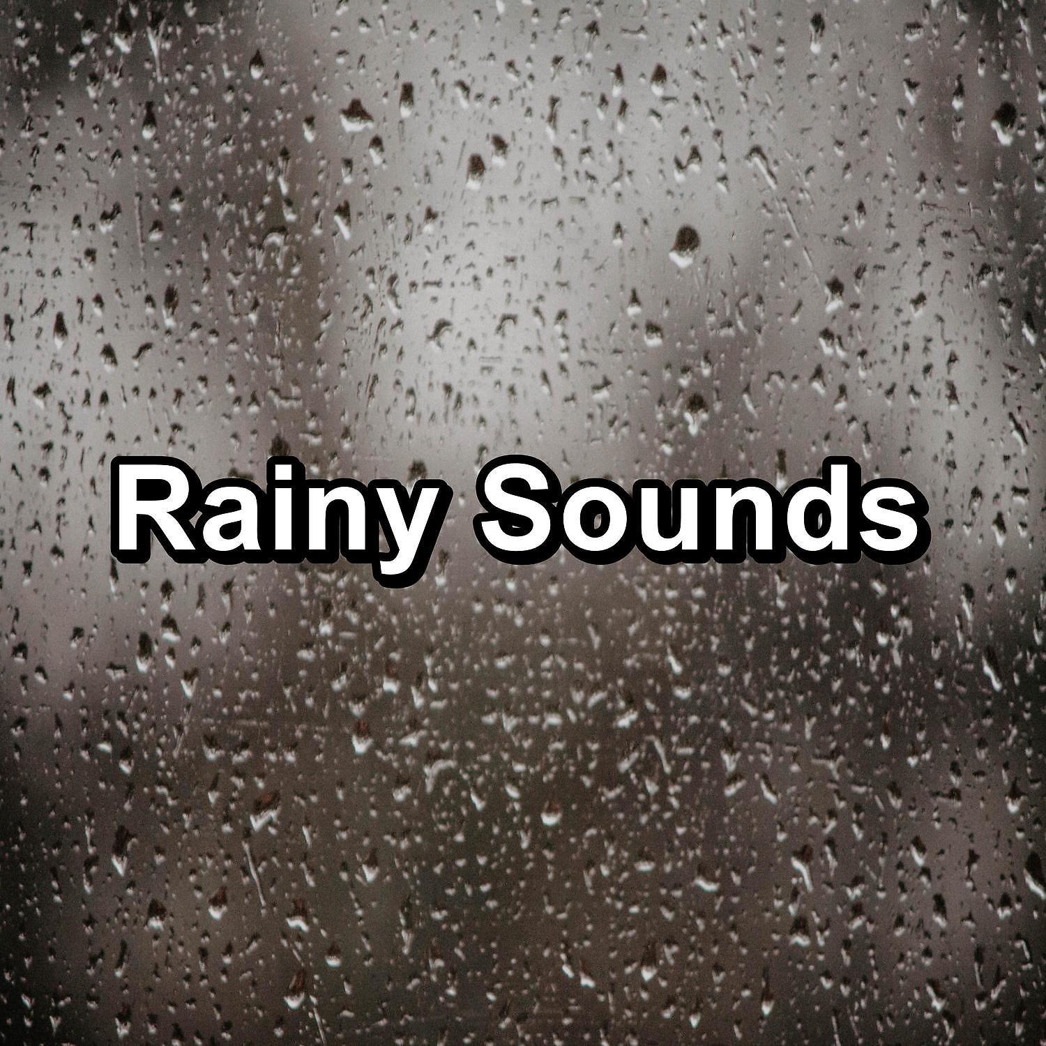 Постер альбома Rainy Sounds