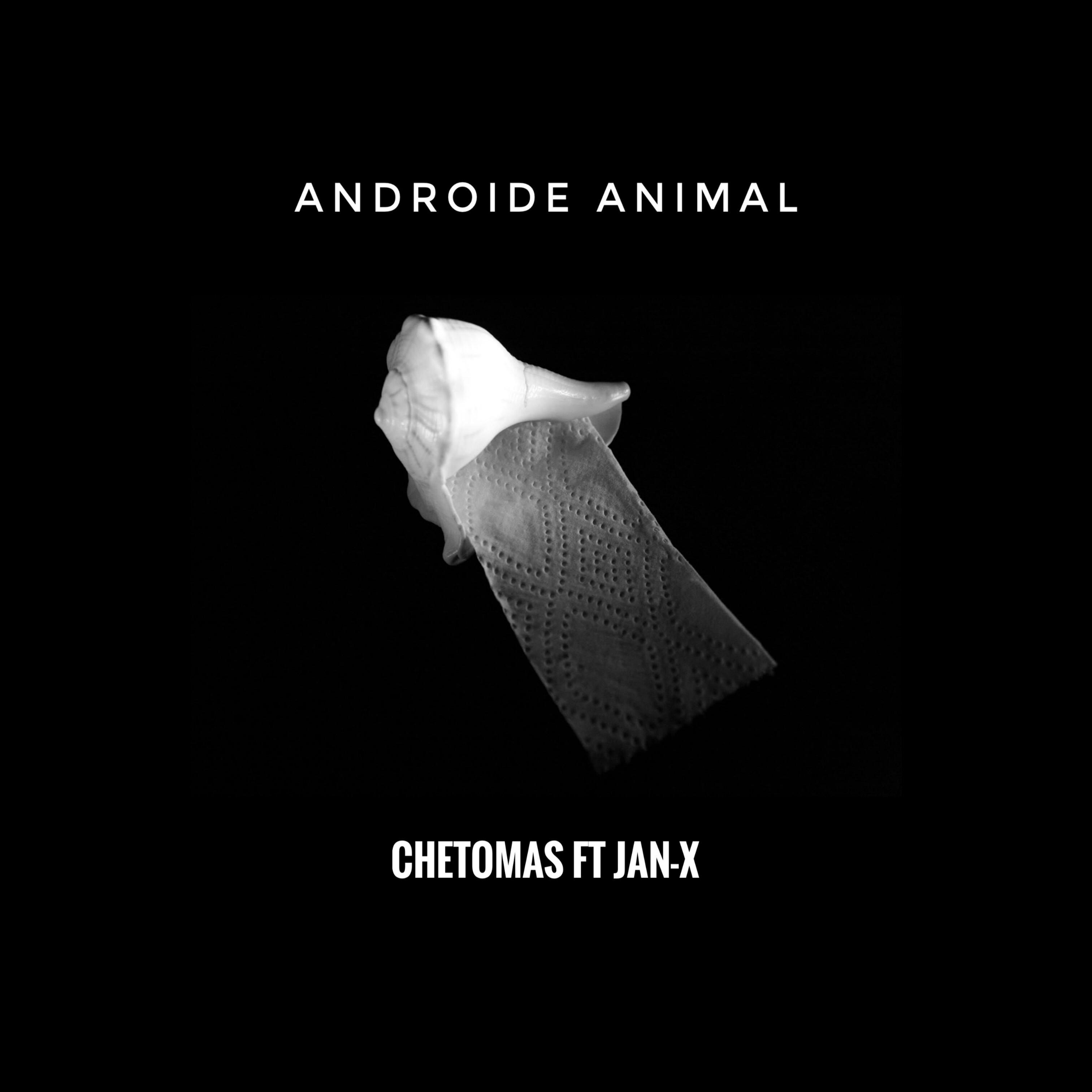 Постер альбома Androide Animal