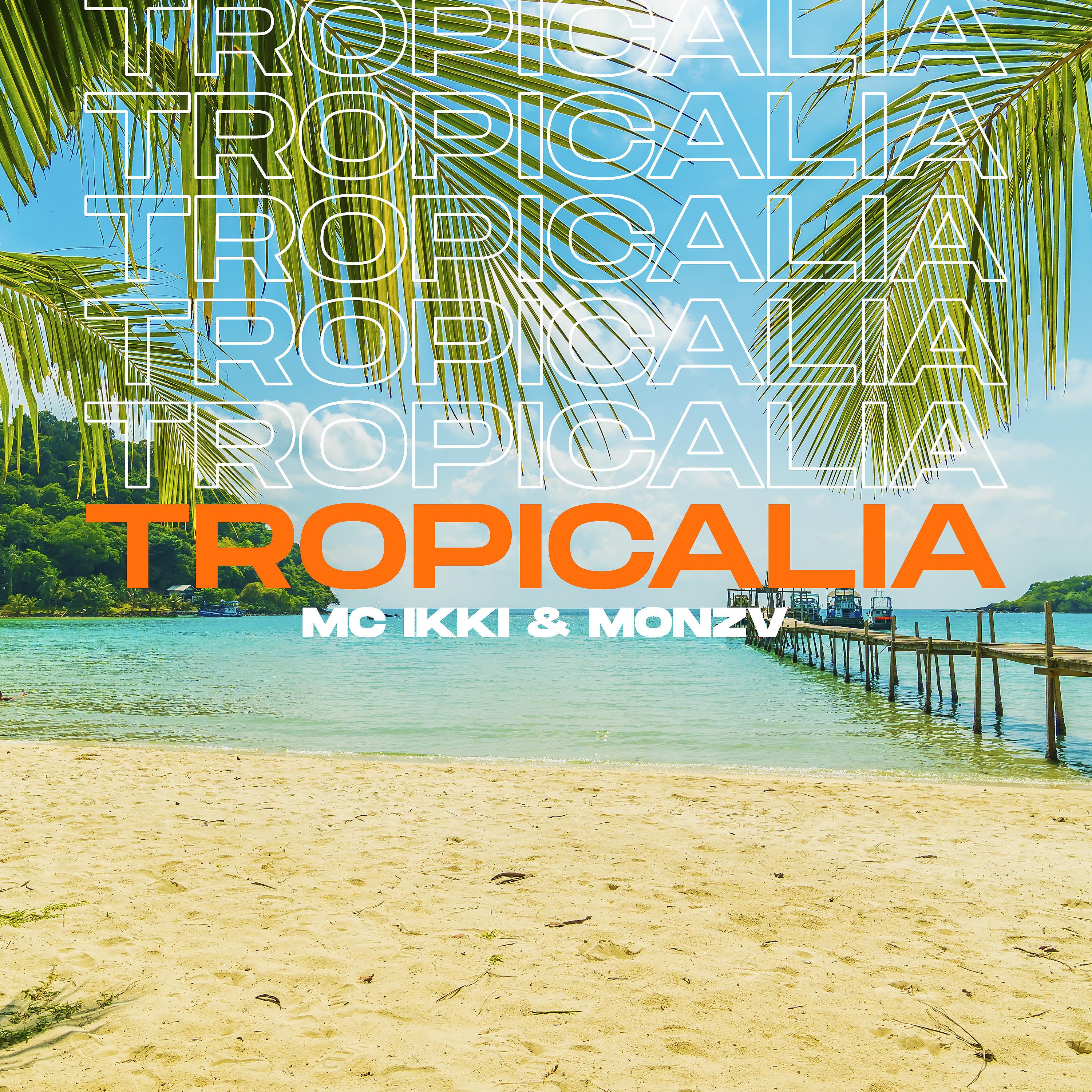 Постер альбома Tropicalia