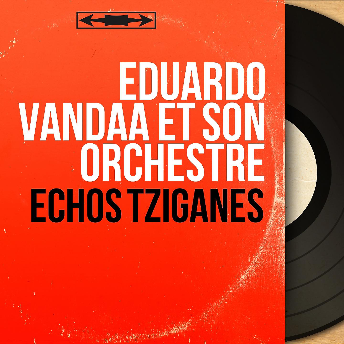 Постер альбома Échos tziganes